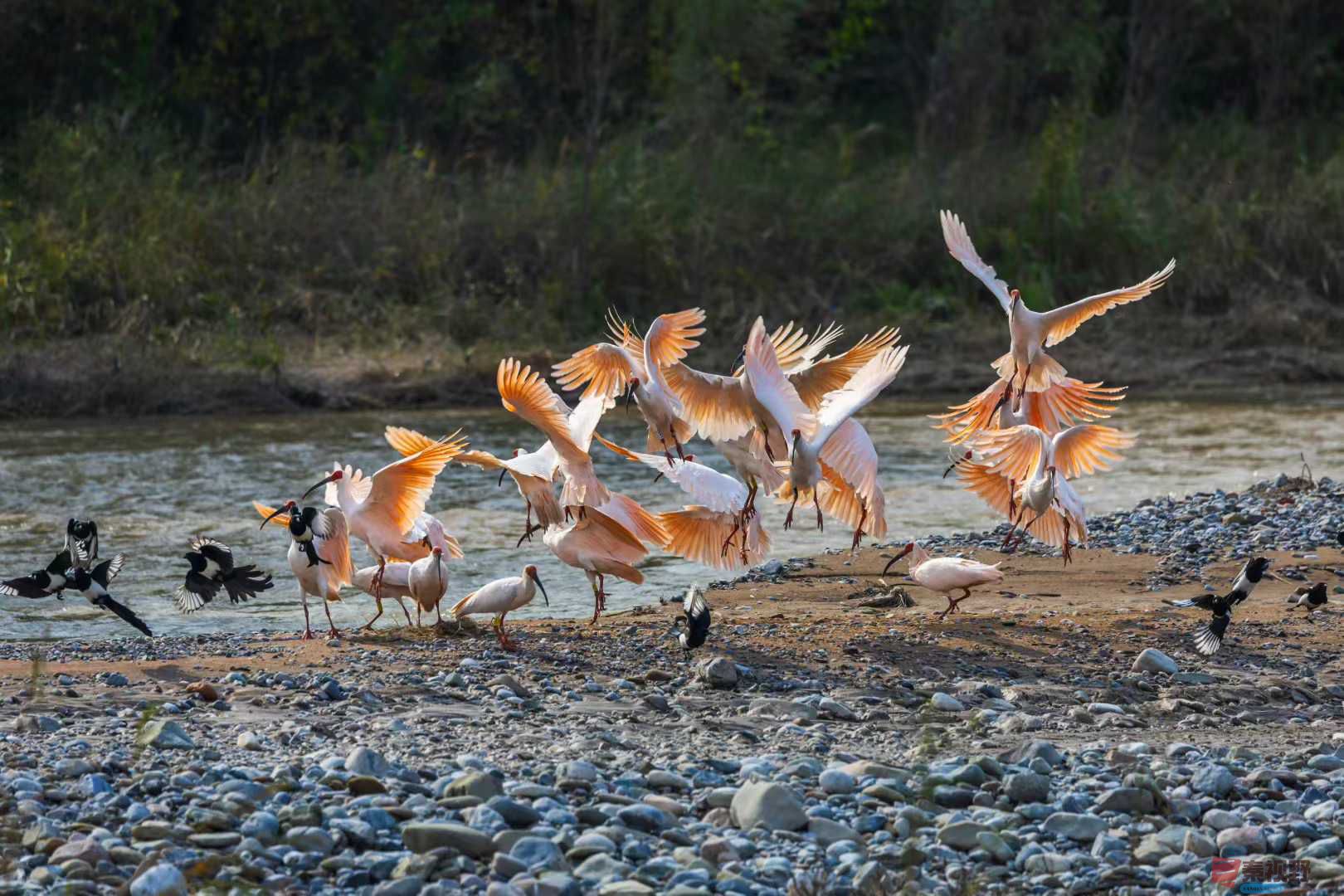 袁小保_2025-10-27_162526_851 (4).jpg