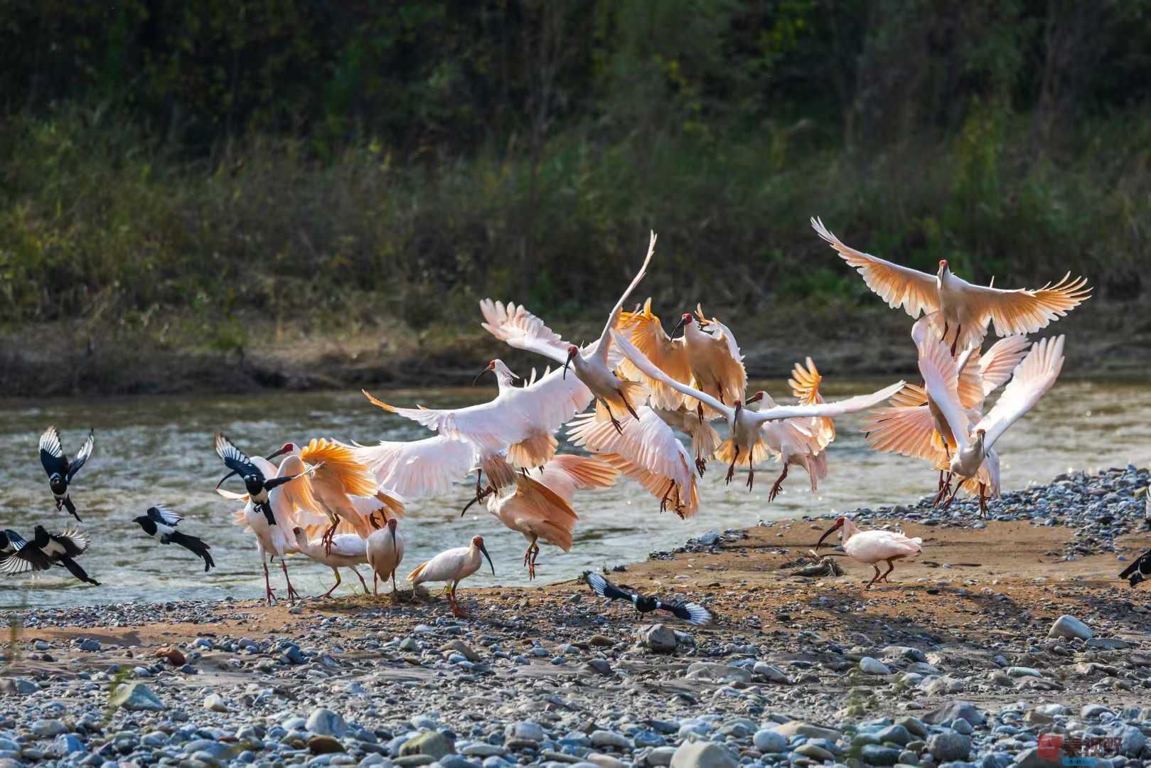 袁小保_2025-10-27_162526_851 (6).jpg