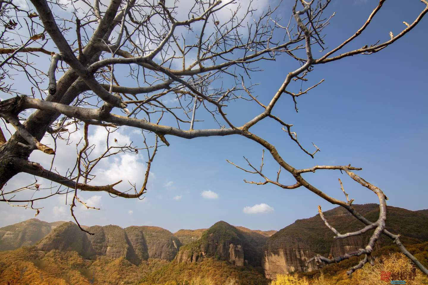 陈耀杰_2025-10-27_160626_251 (1).jpg