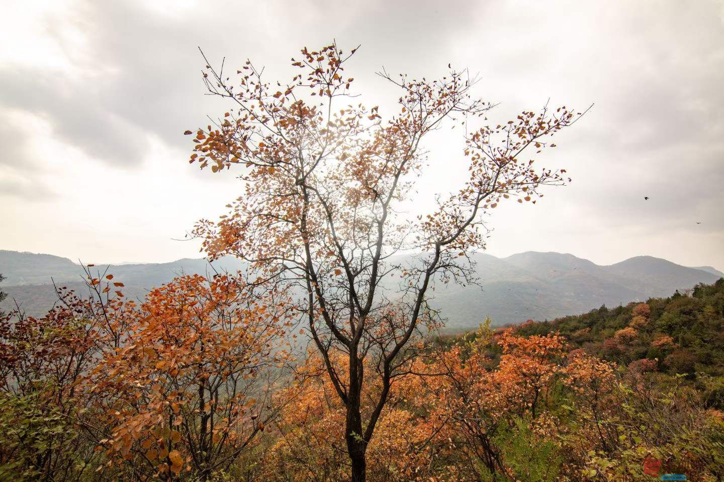 陈耀杰_2025-10-27_160626_251 (5).jpg