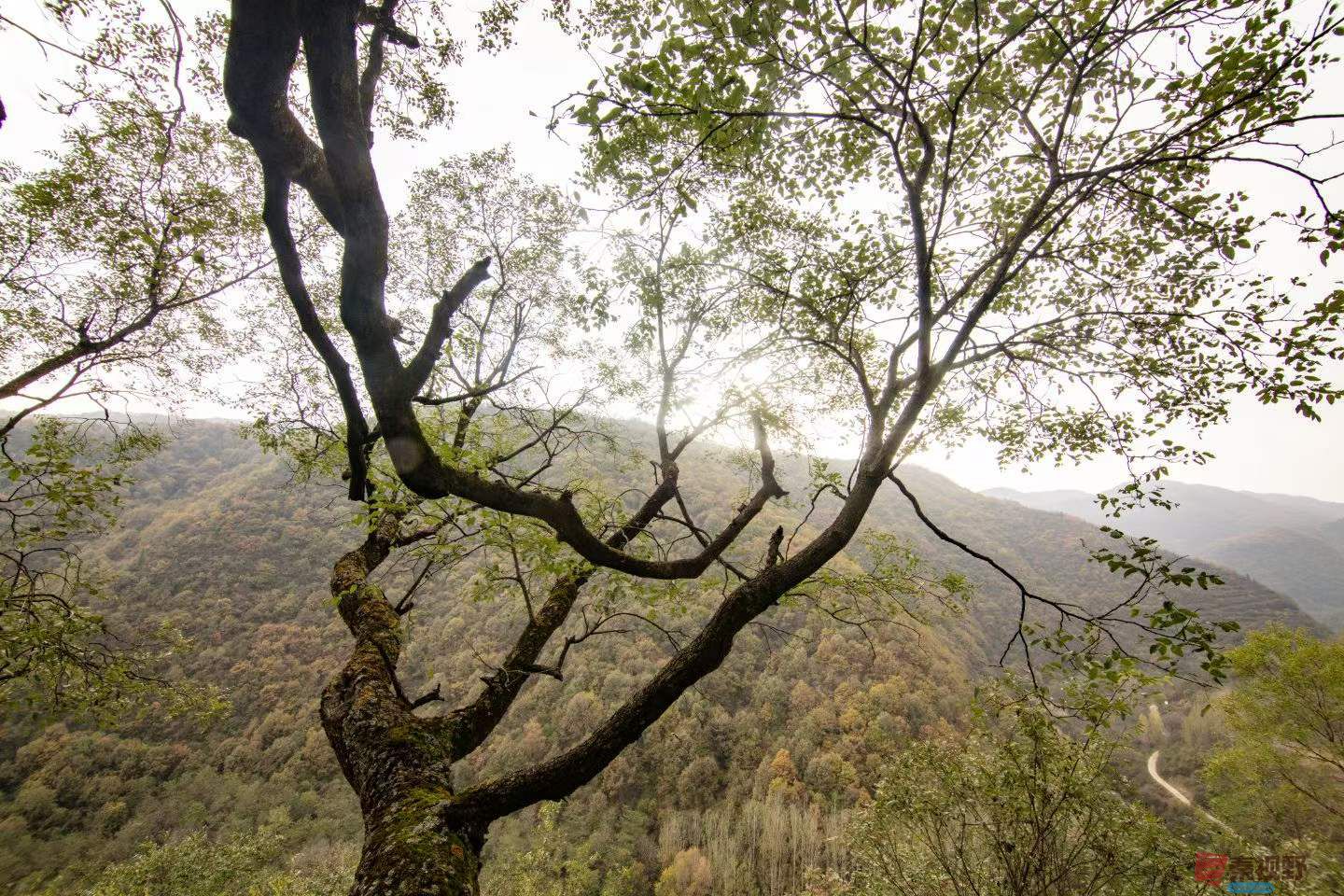 陈耀杰_2025-10-27_160626_251 (7).jpg