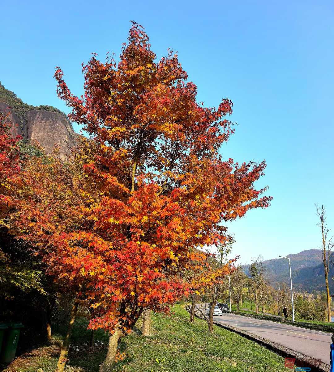 袁小保_2025-10-27_162903_082 (8).jpg