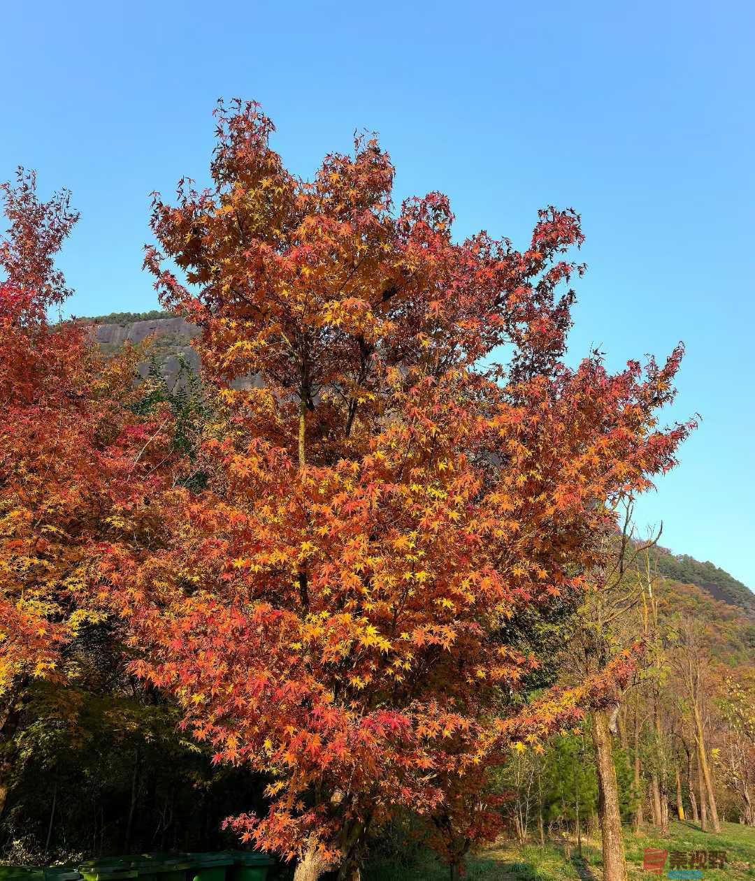 袁小保_2025-10-27_162903_082 (9).jpg