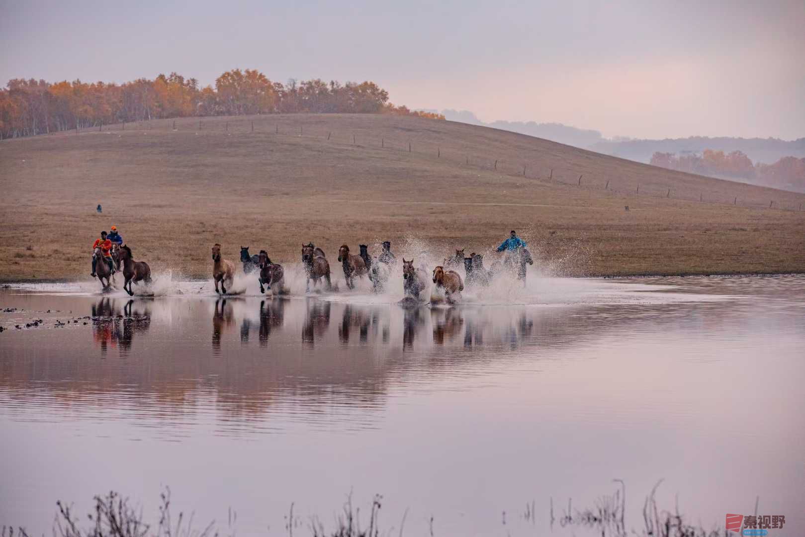 张宝光_2025-10-29_100412_182 (1).jpg