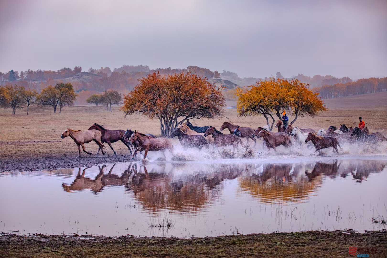 <strong>坝上牧归图【摄影张宝光】</strong>