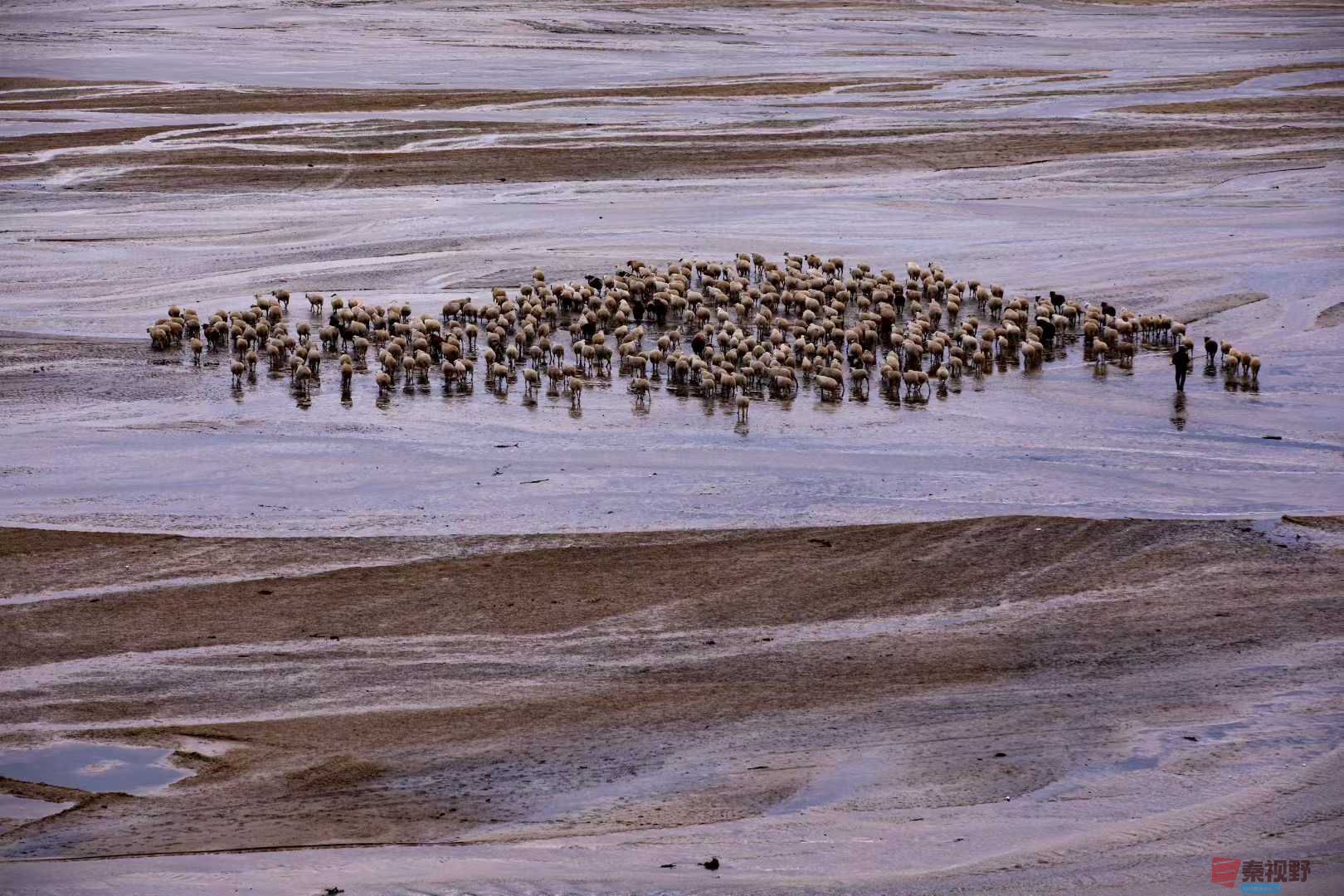 张宝光_2025-10-29_100724_755 (2).jpg