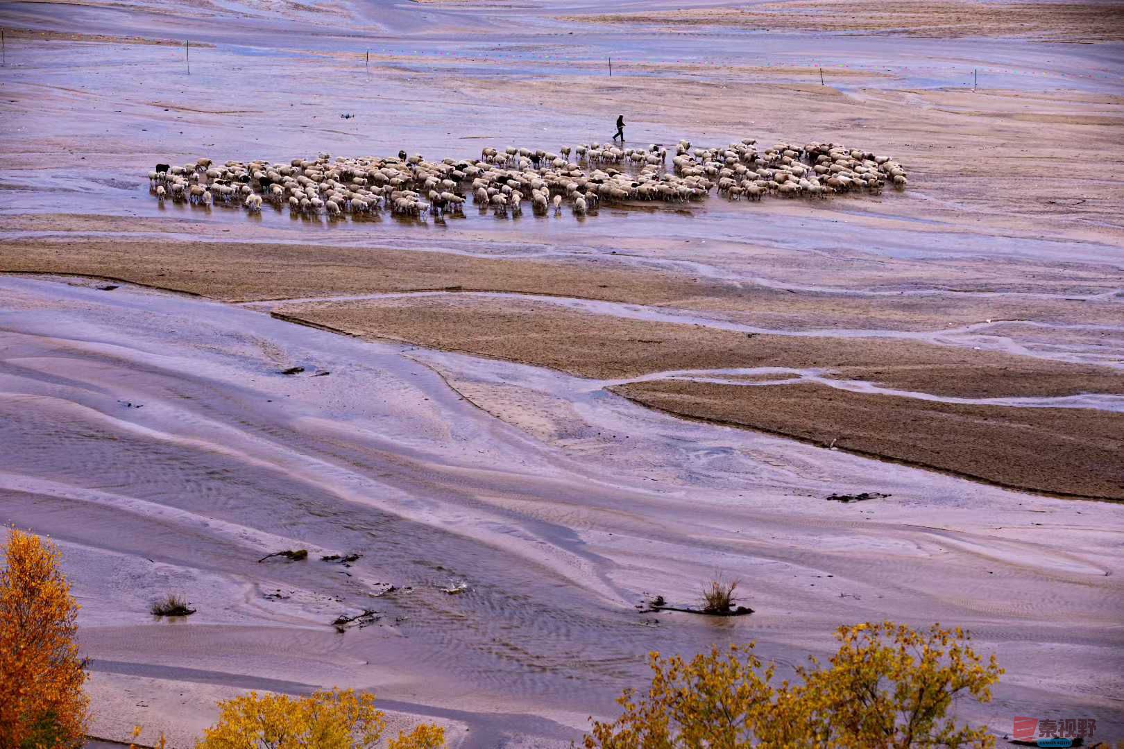 张宝光_2025-10-29_100724_755 (4).jpg