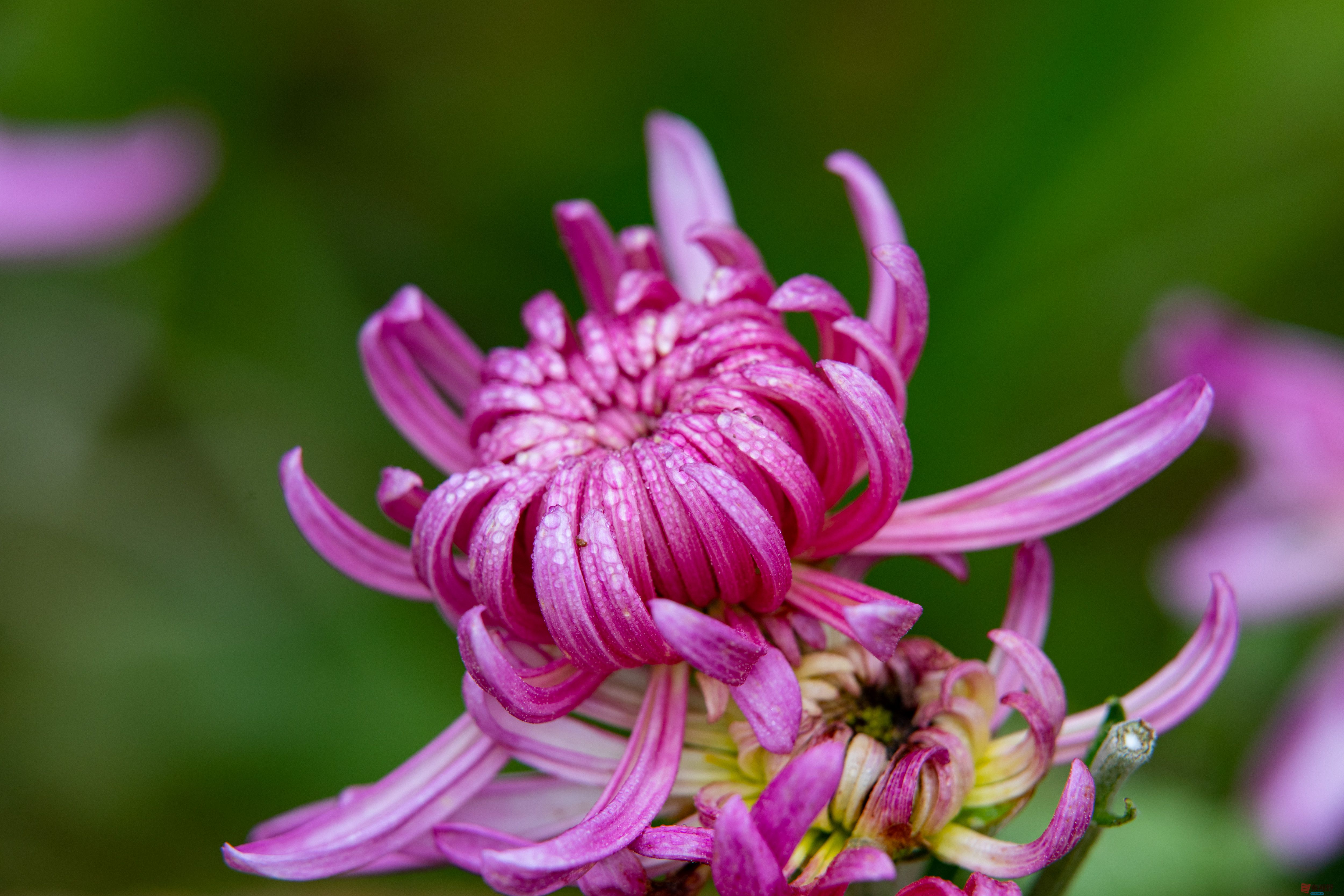 张宝光_20251029213345_2507_463 (8).jpg