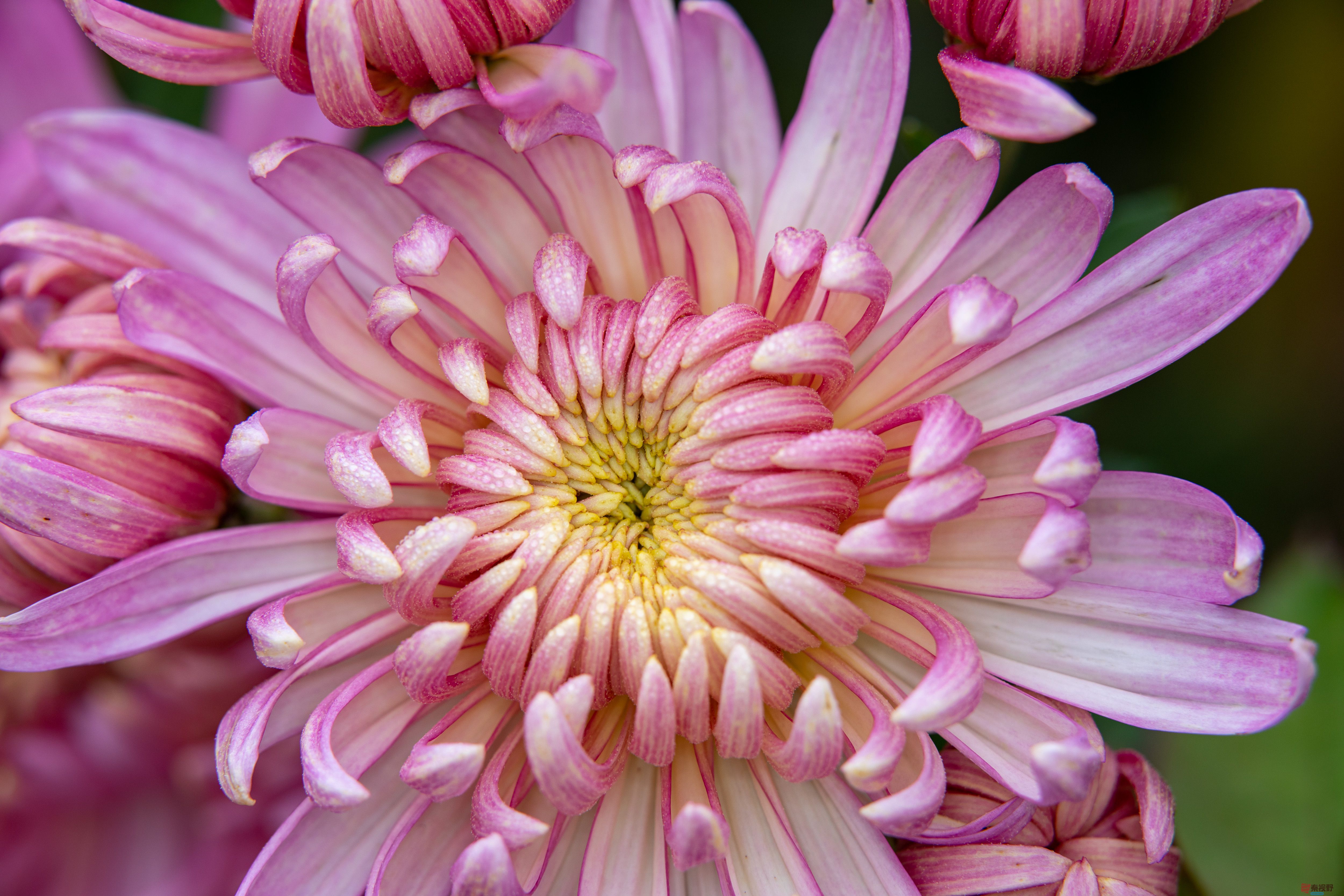 张宝光_20251029213345_2507_463 (9).jpg