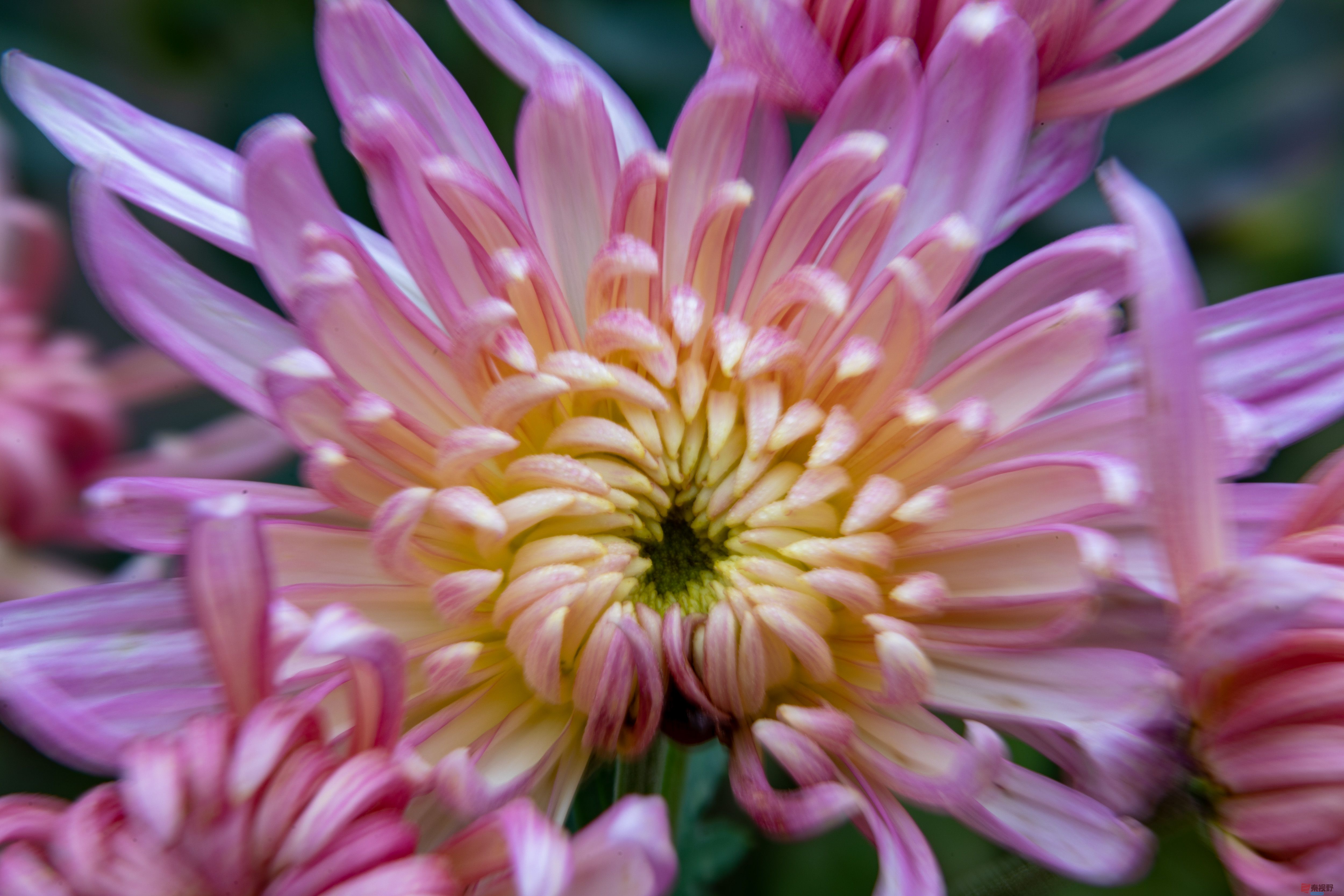 张宝光_20251029213345_2507_463 (13).jpg