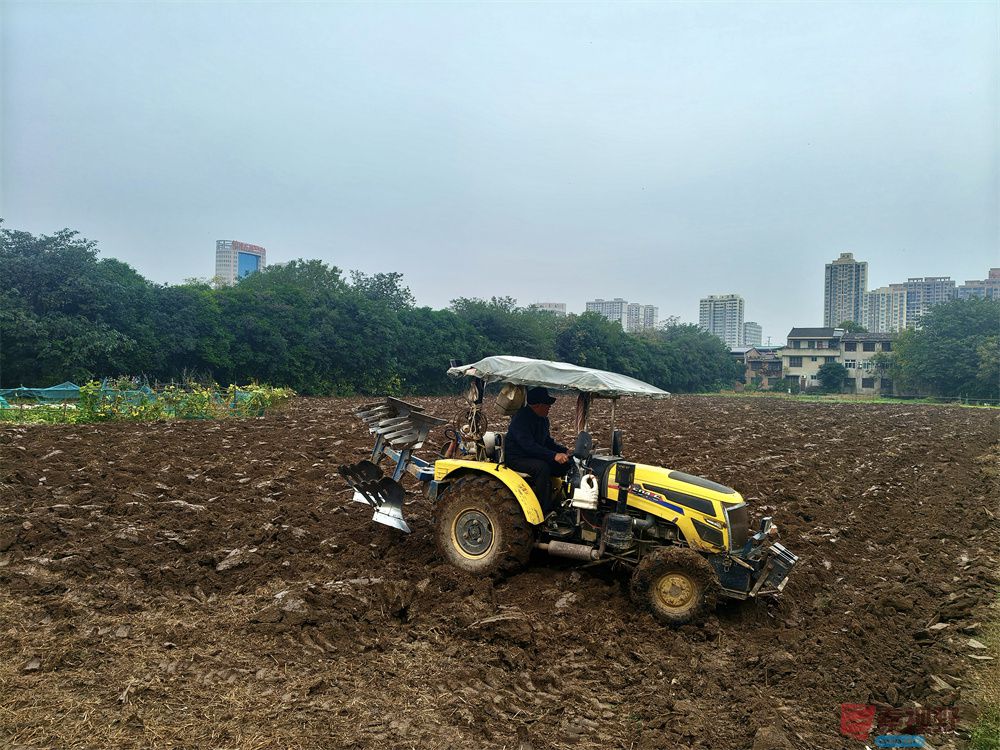 <strong>鄠邑秋播正当时【摄影任周民】</strong>