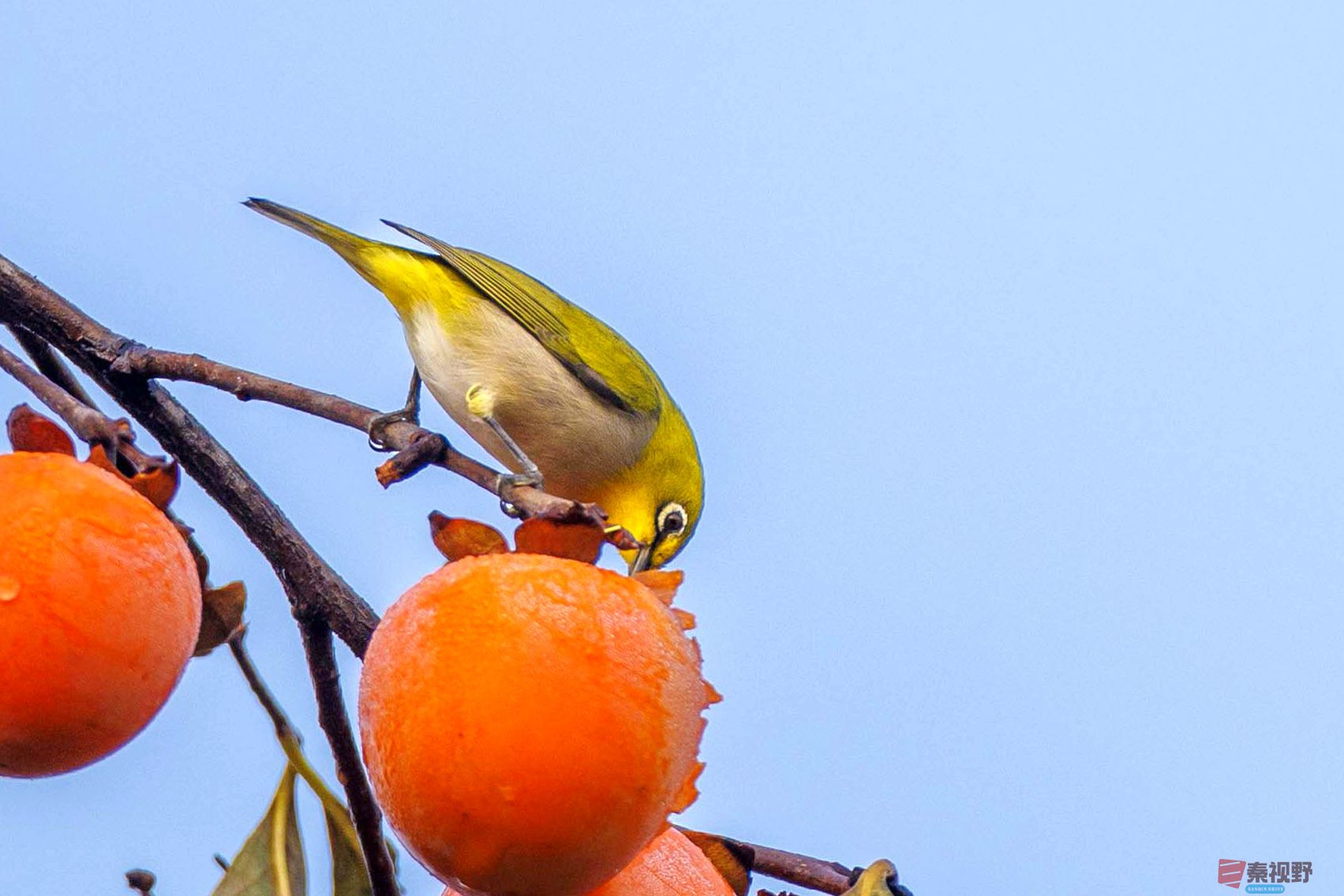 张永平_20251031222806 (3).jpg