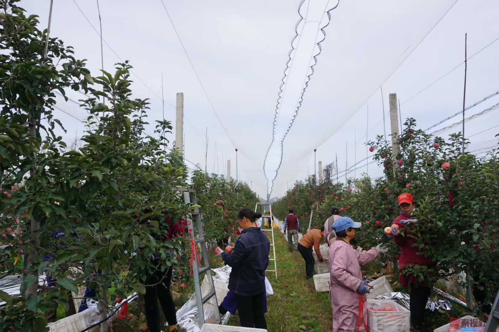 孙宏伟_20251031224224 (1).jpg