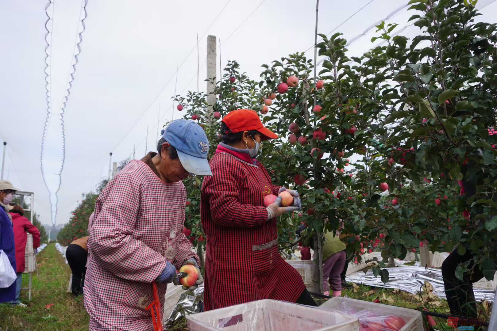 孙宏伟_20251031224224 (3).jpg