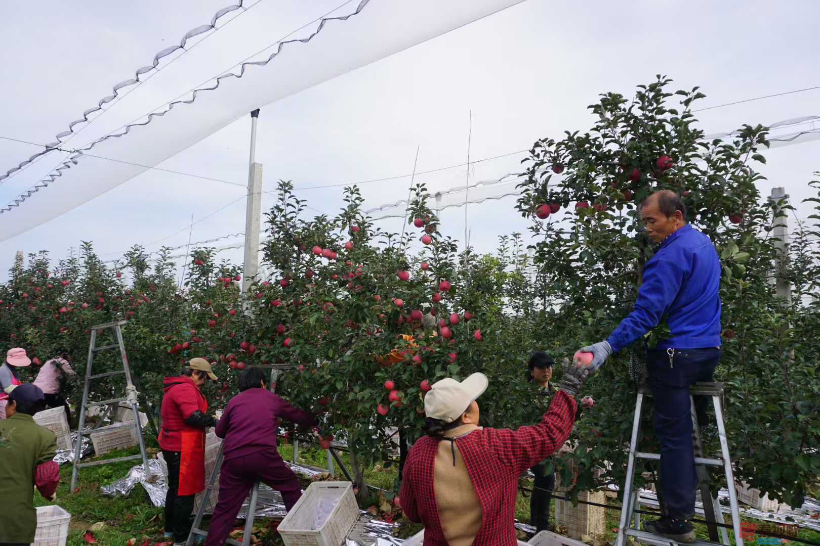 孙宏伟_20251031224224 (2).jpg