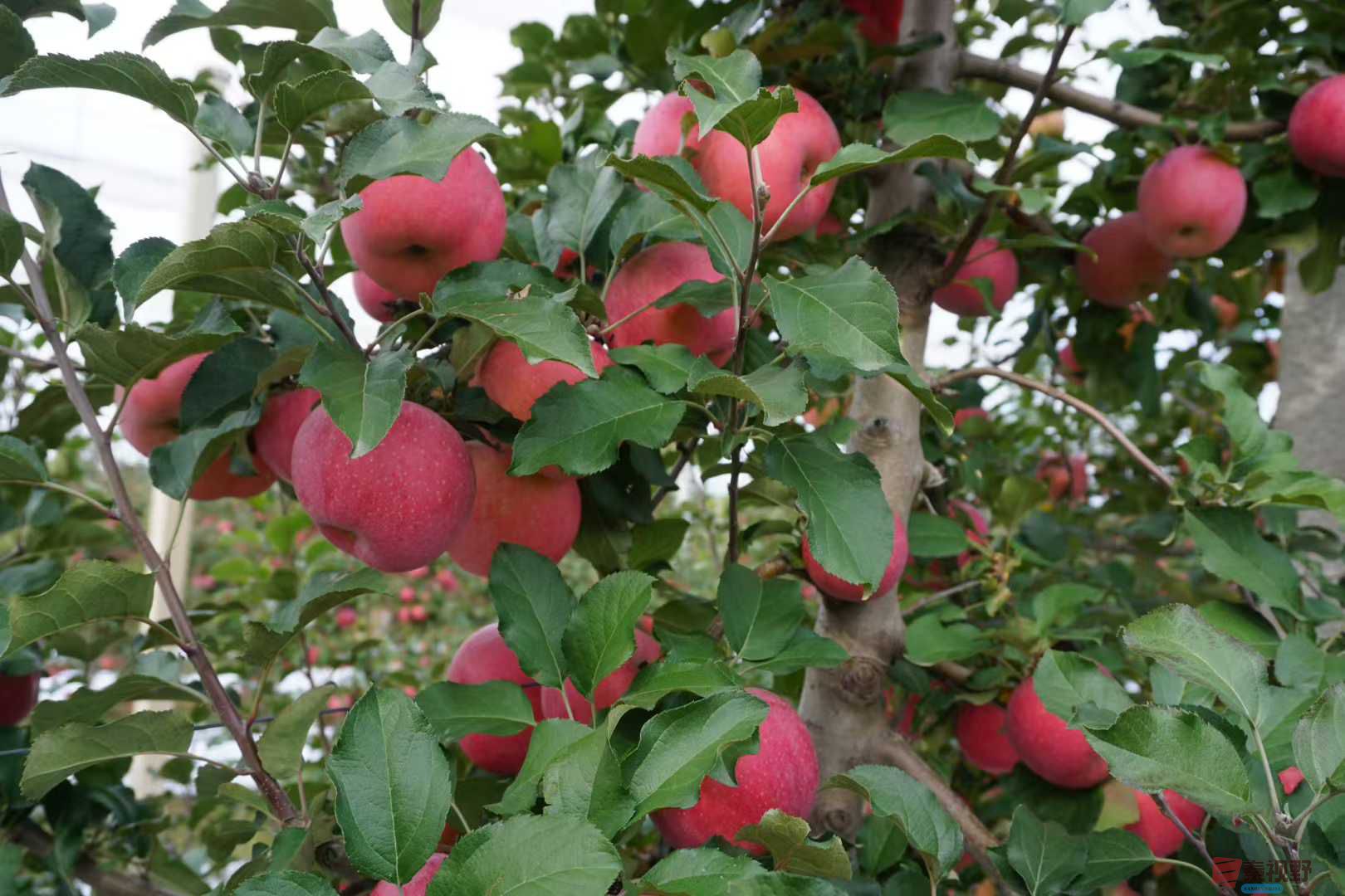 孙宏伟_20251031224224 (10).jpg