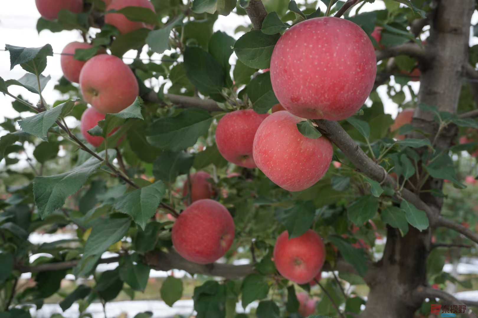 孙宏伟_20251031224224 (4).jpg