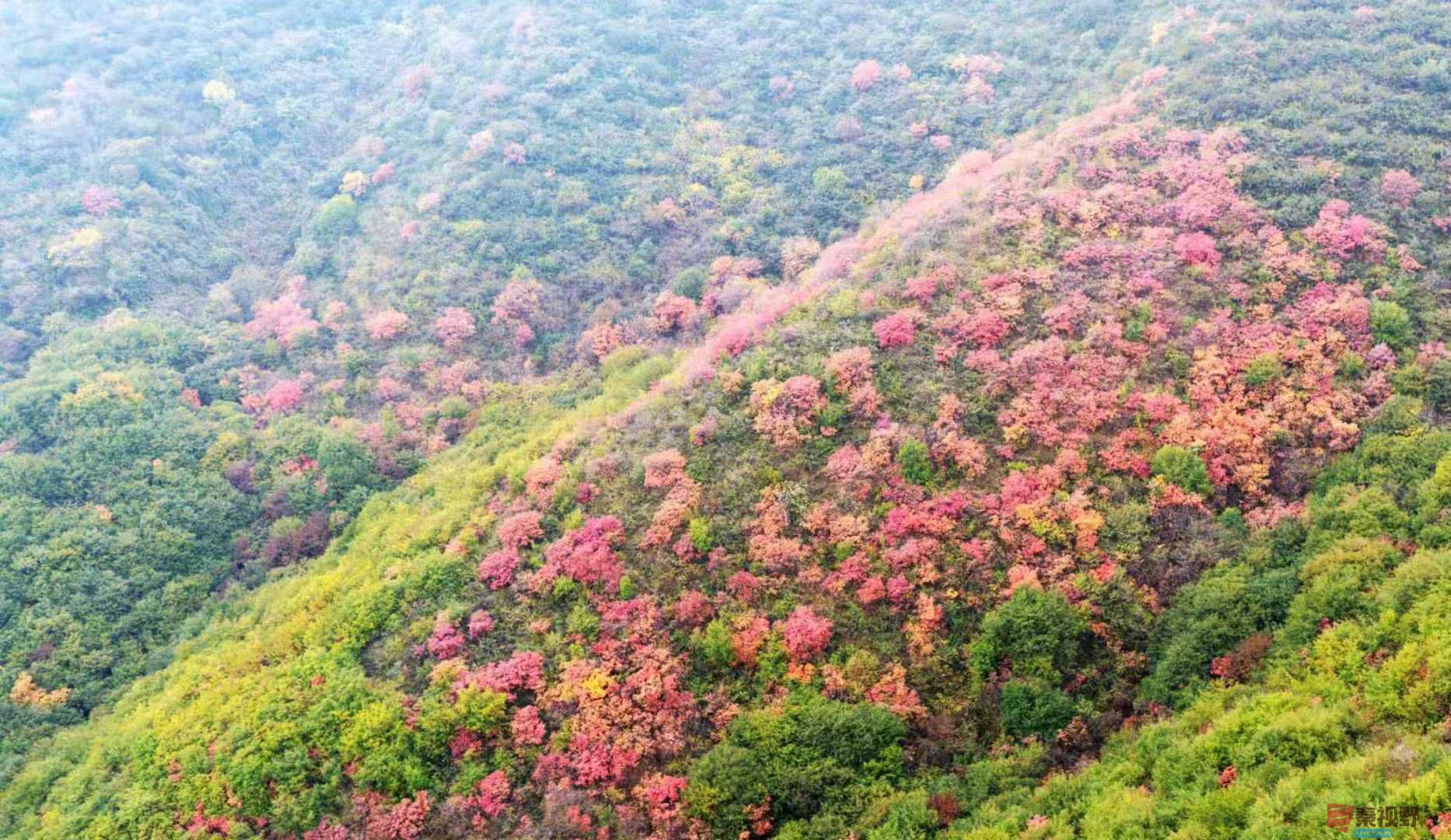 吕炳全_20251031230845 (3).jpg