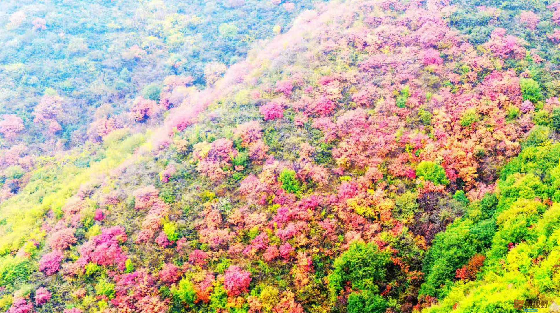 吕炳全_20251031230845 (4).jpg