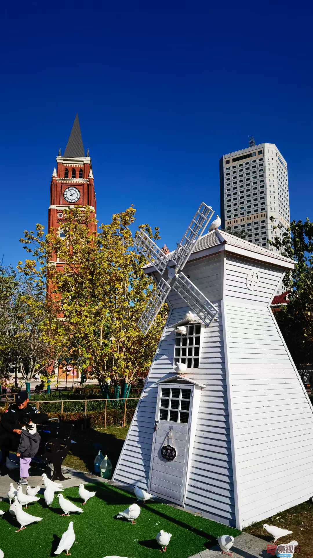 秋日里的天津好漂亮【摄影马世国】