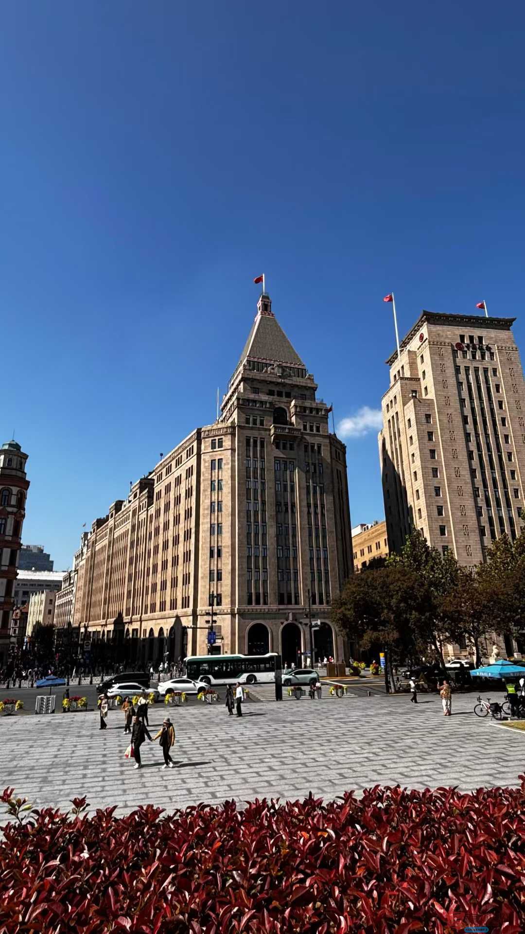 张巧玲_20251031223606 (7).jpg