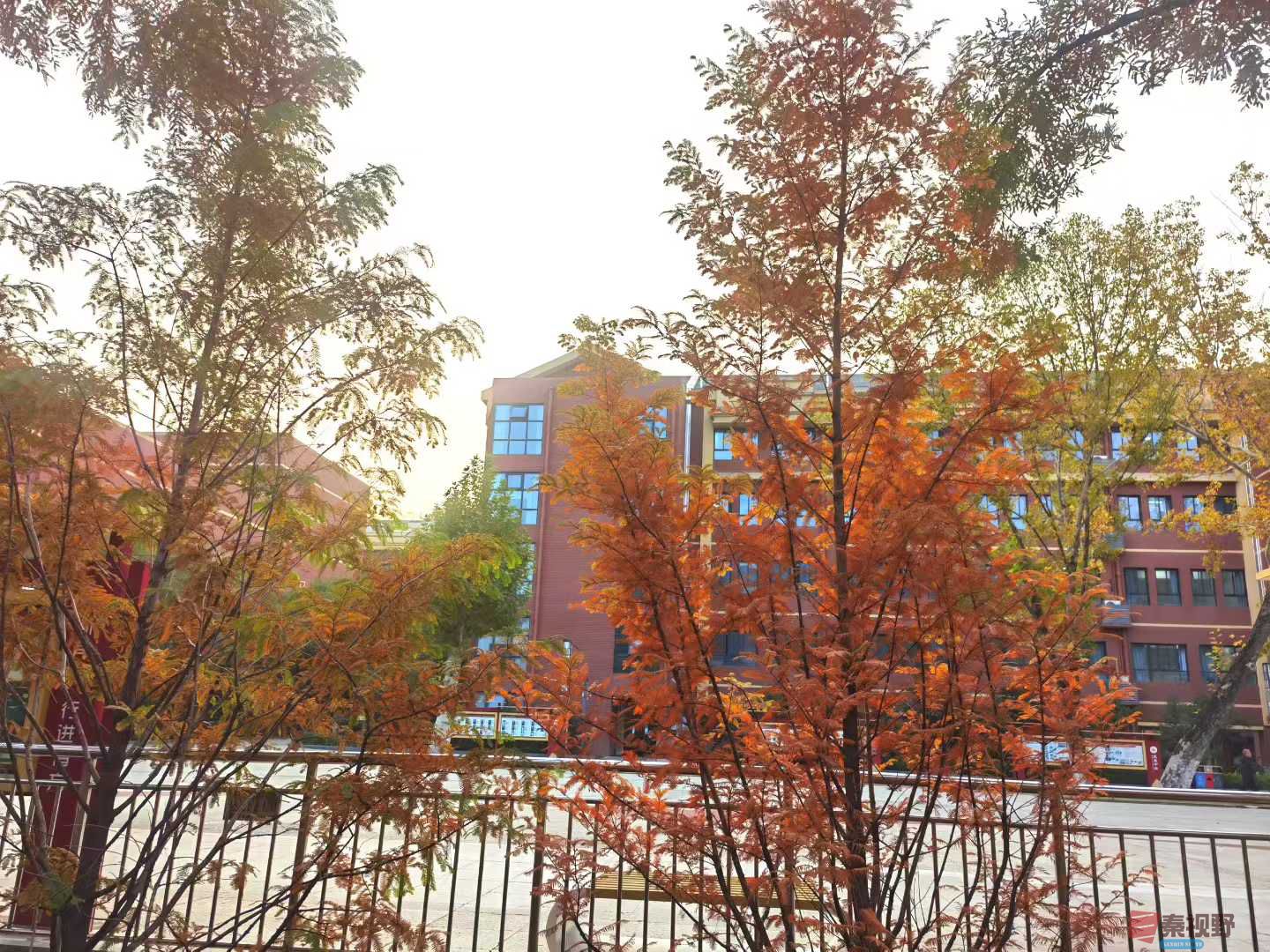 秋日里的铜川王益中学