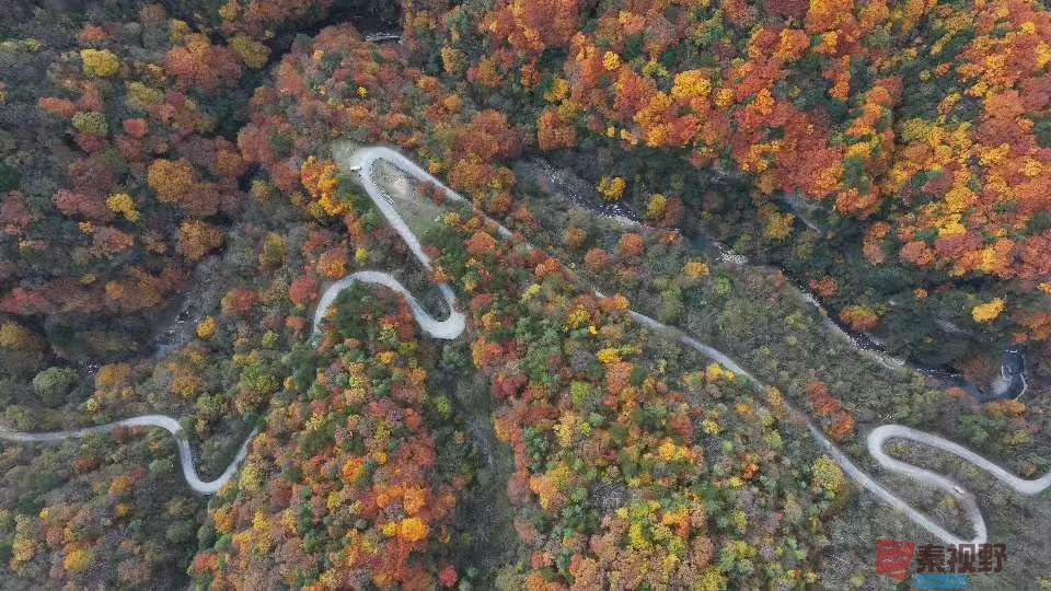 张宝光汉中黎坪景区_20251102160431_1957_104 (6).jpg