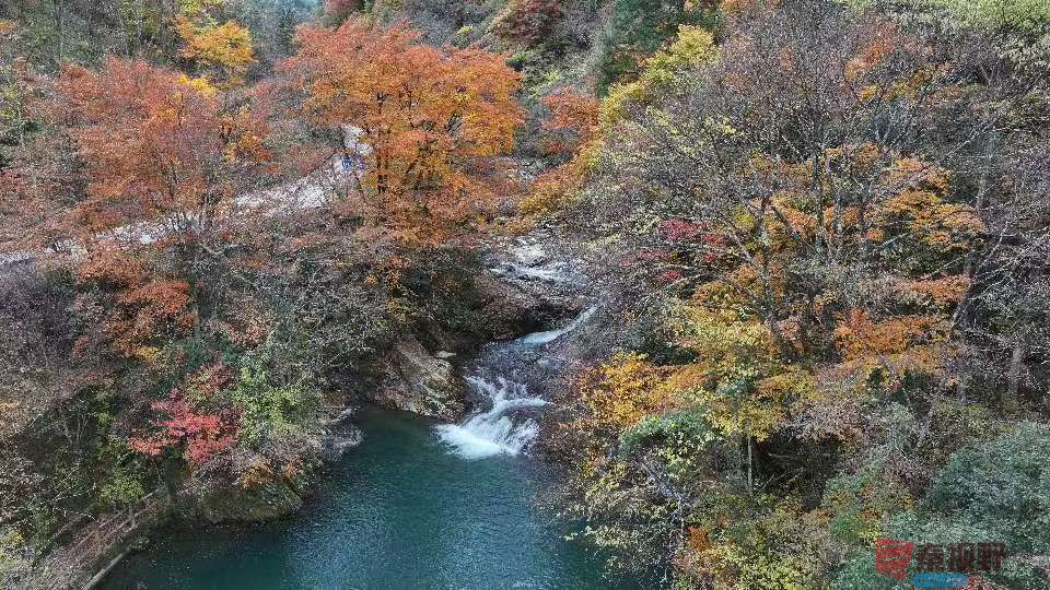 张宝光汉中黎坪景区_20251102160431_1957_104 (12).jpg