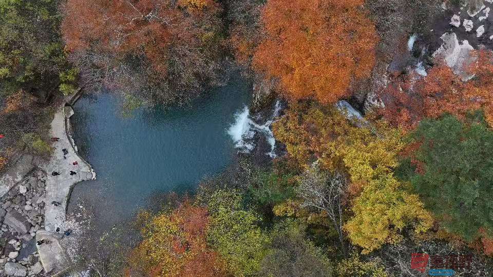 张宝光汉中黎坪景区_20251102160431_1957_104 (15).jpg