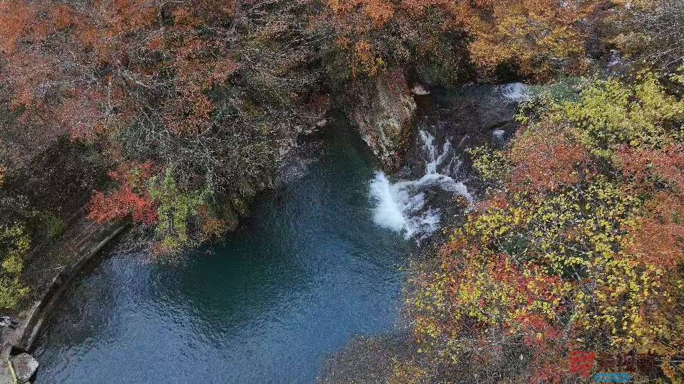 张宝光汉中黎坪景区_20251102160431_1957_104 (14).jpg