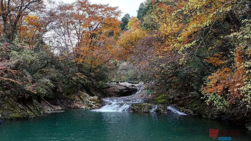 张宝光汉中黎坪景区_20251102160431_1957_104 (13).jpg