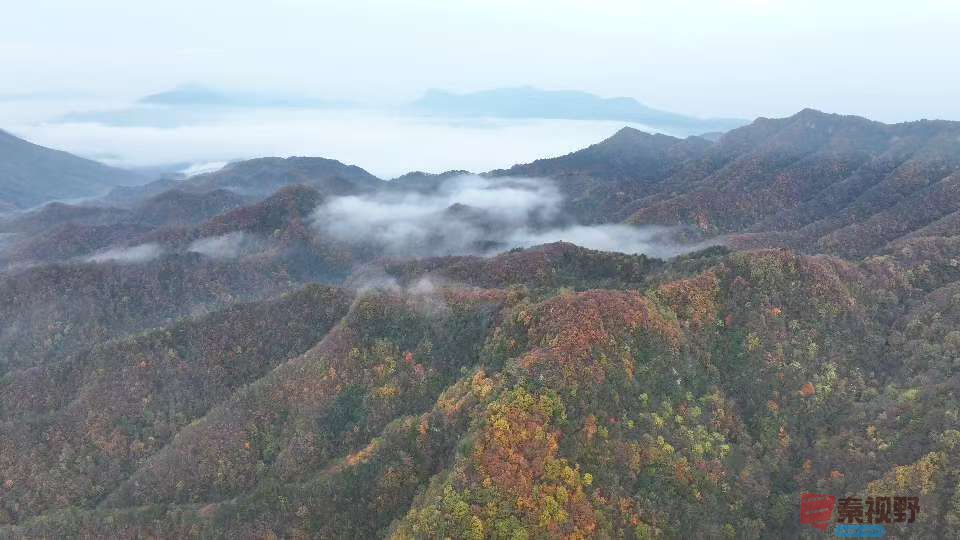 张宝光汉中黎坪景区_20251102160431_1957_104 (17).jpg