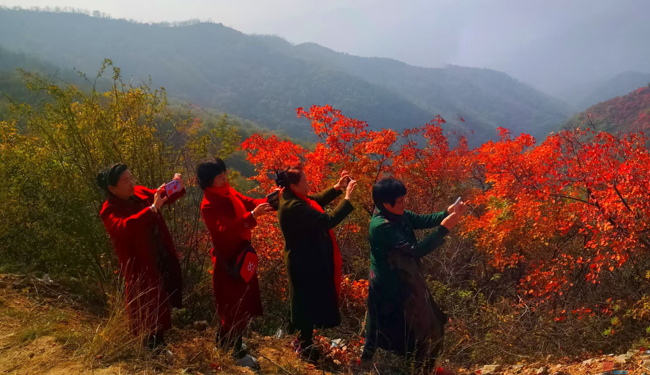 李雪平富平赵老峪秋色尽染！_20251101204543_388_47 (2).jpg