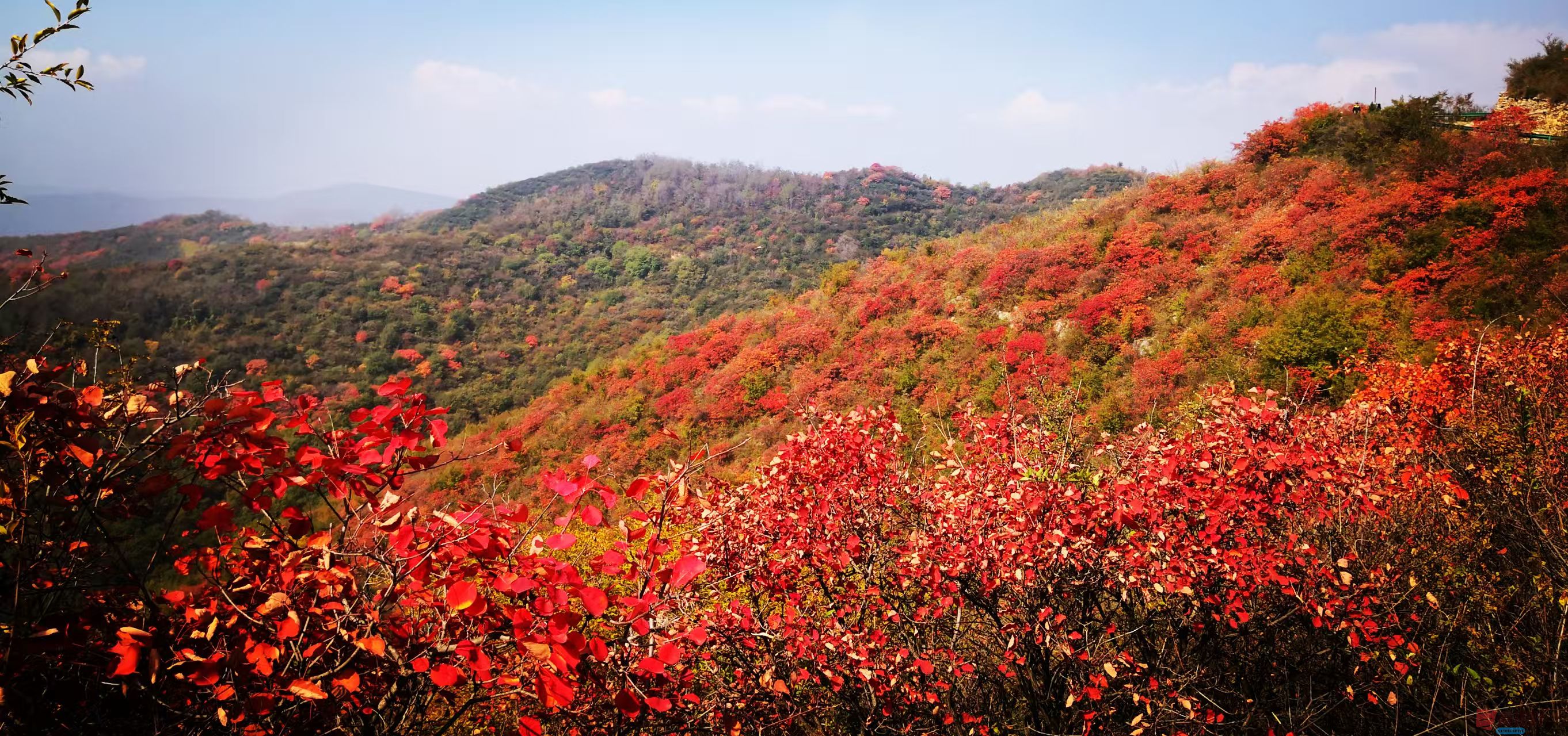 李雪平富平赵老峪秋色尽染！_20251101204543_388_47 (3).jpg
