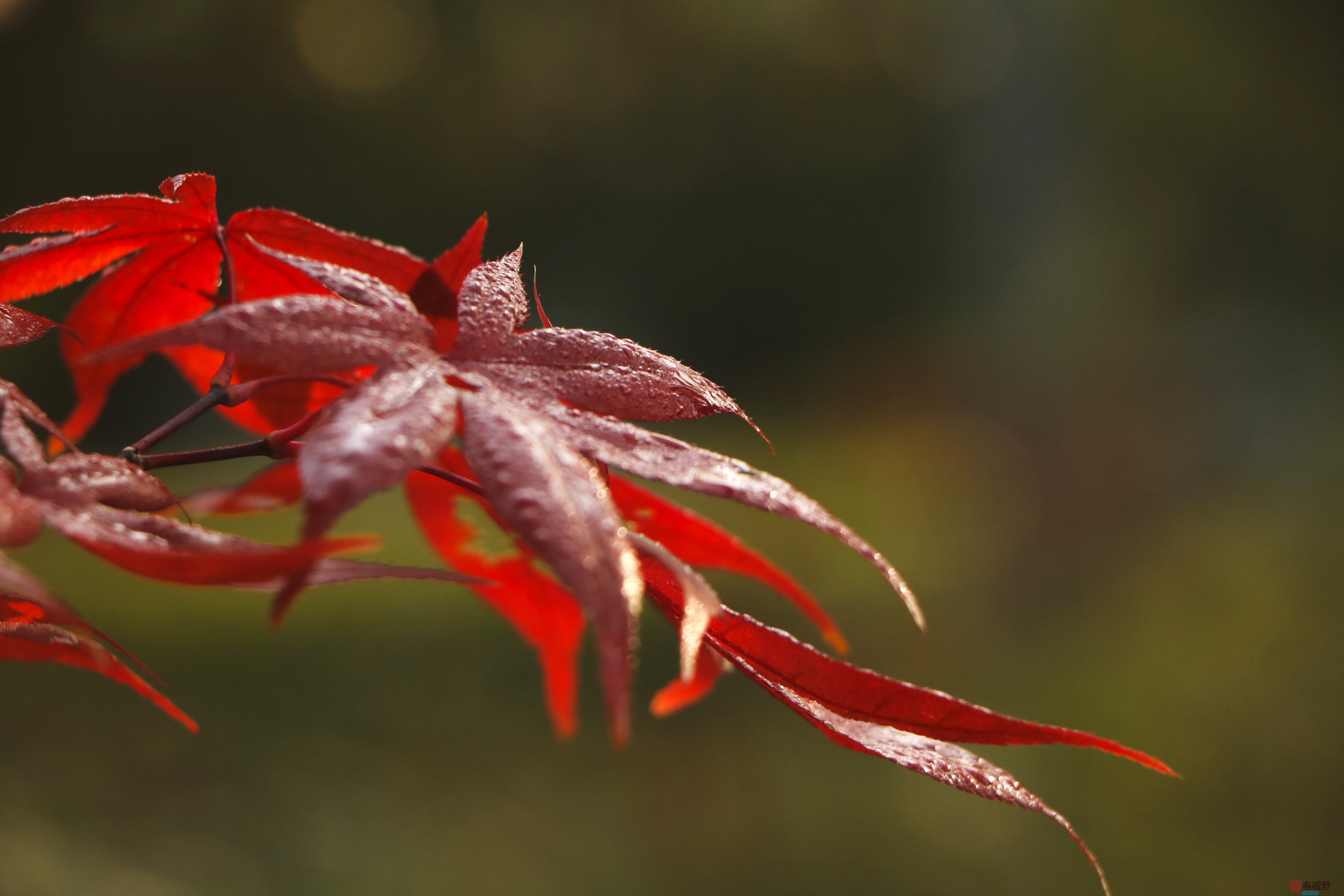 王顺利_20251102073611_1933_104 (3).jpg