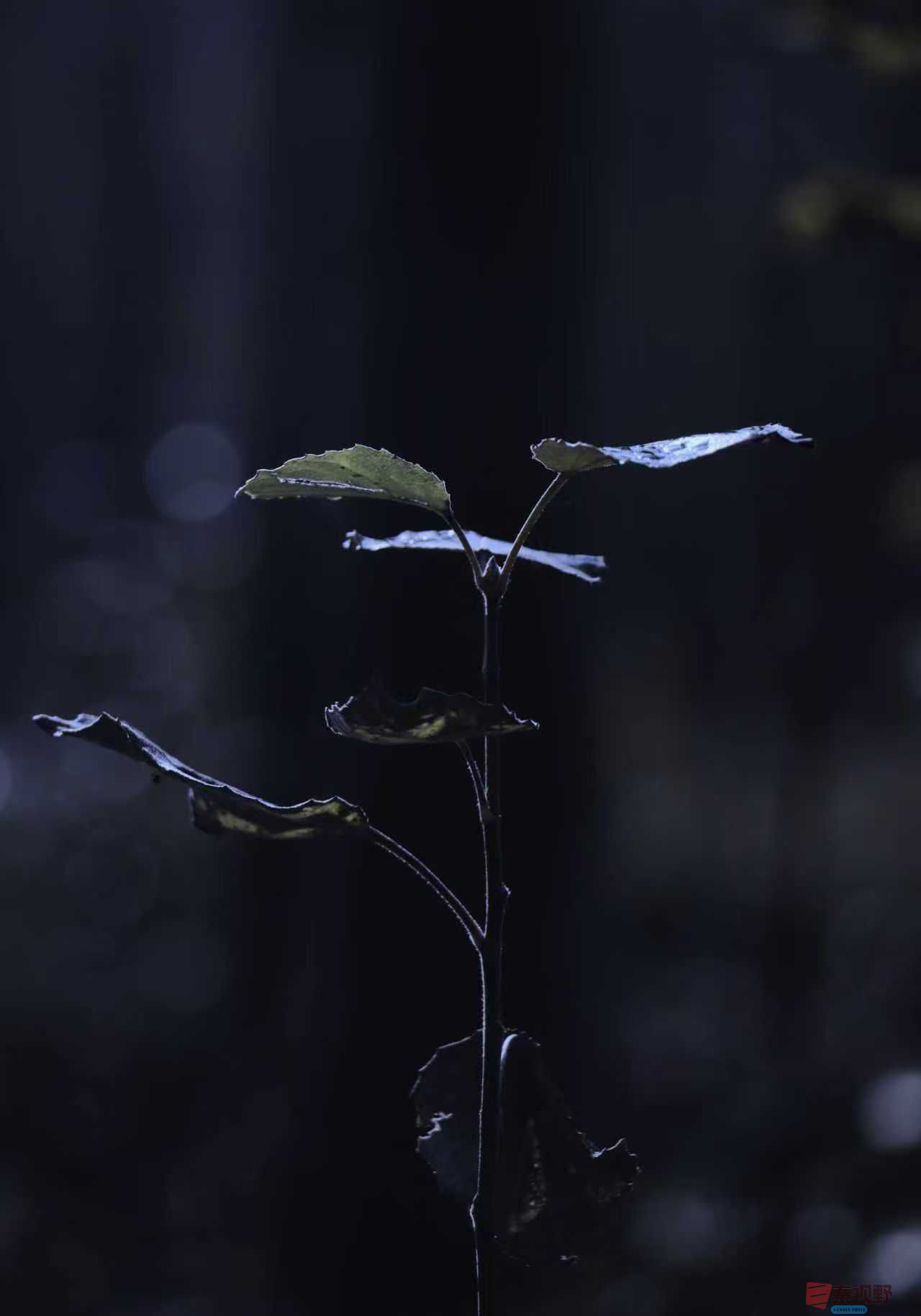 王顺利_20251102073611_1933_104 (8).jpg