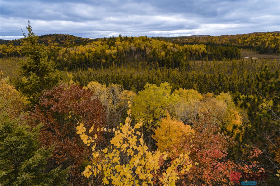 秋日的陕西富平美景【摄影伍卸凤】