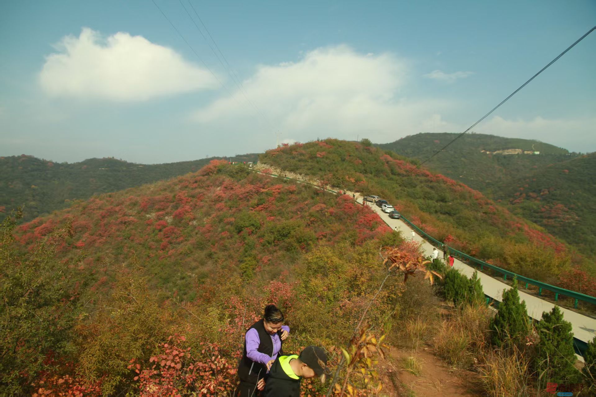 伍卸凤_20251103093738_2646_463 (7).jpg