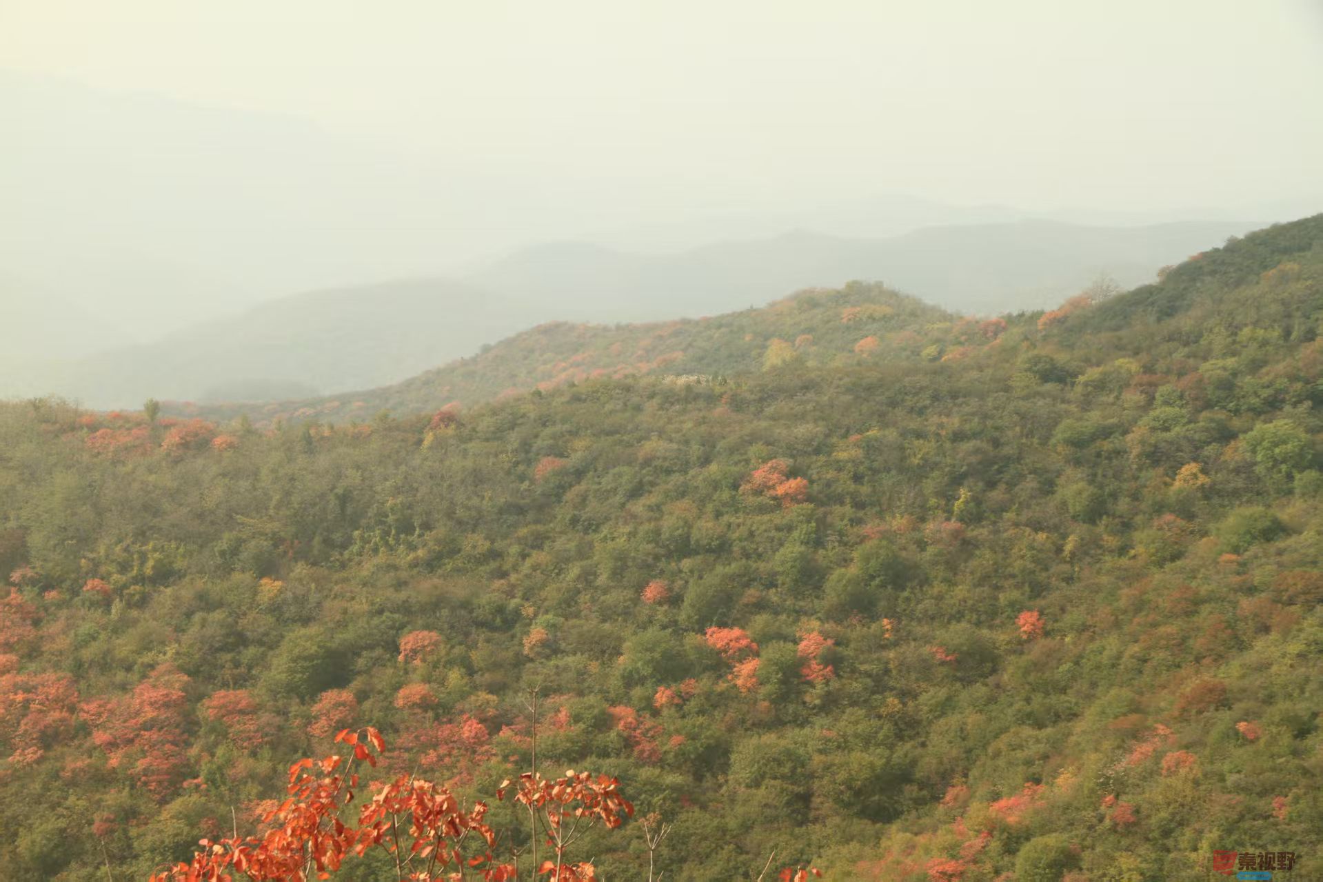 伍卸凤_20251103093738_2646_463 (8).jpg