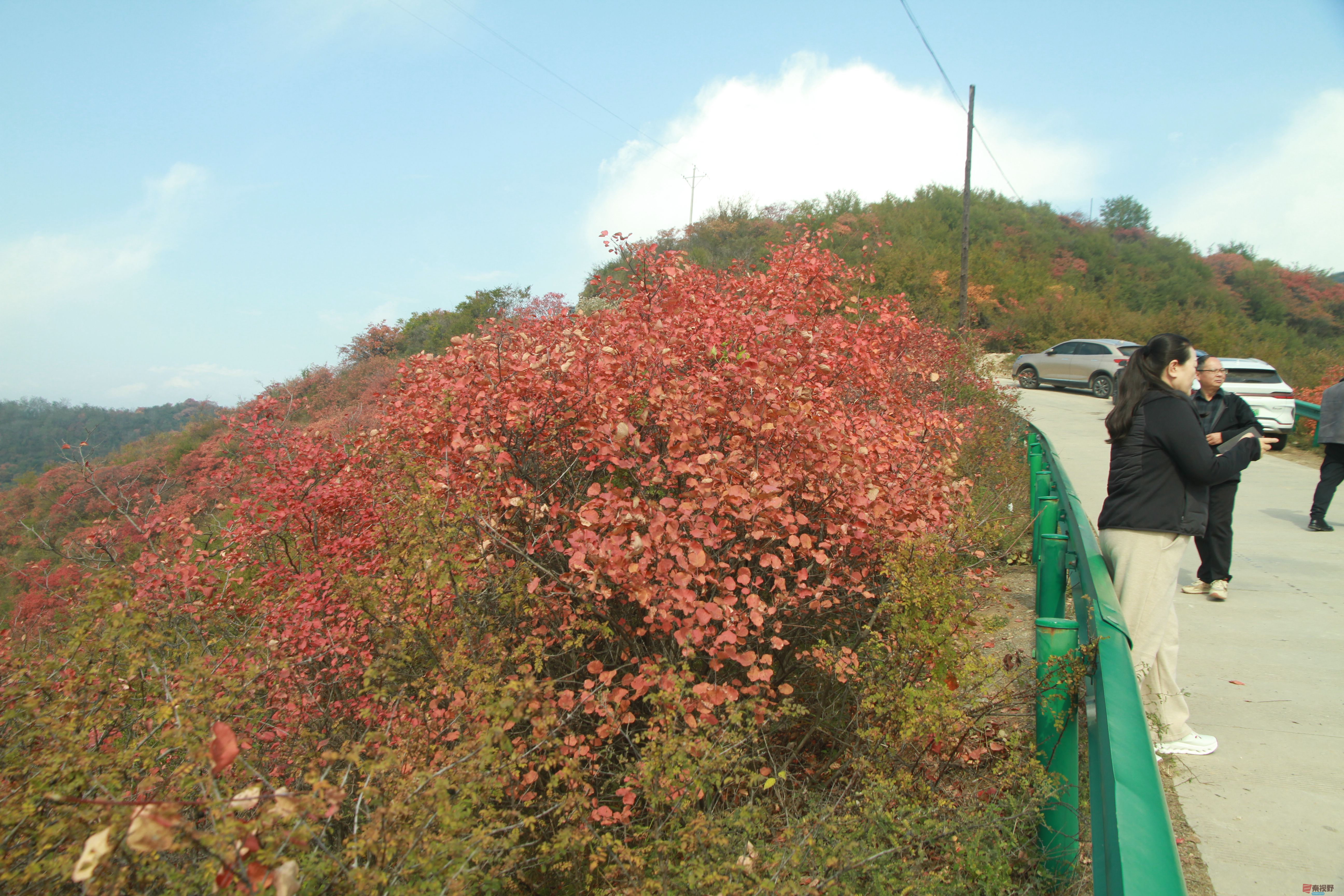 伍卸凤_20251103093738_2646_463 (2).jpg