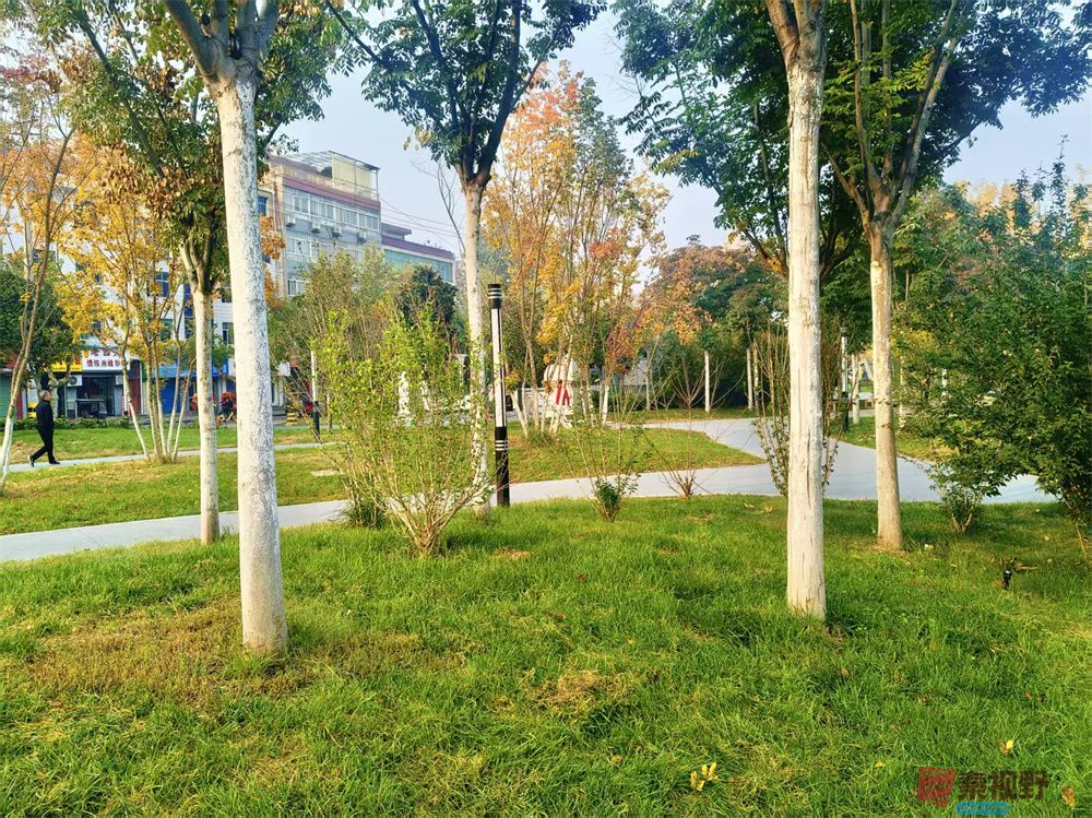 鄠邑区城市运动公园【摄影任周民】