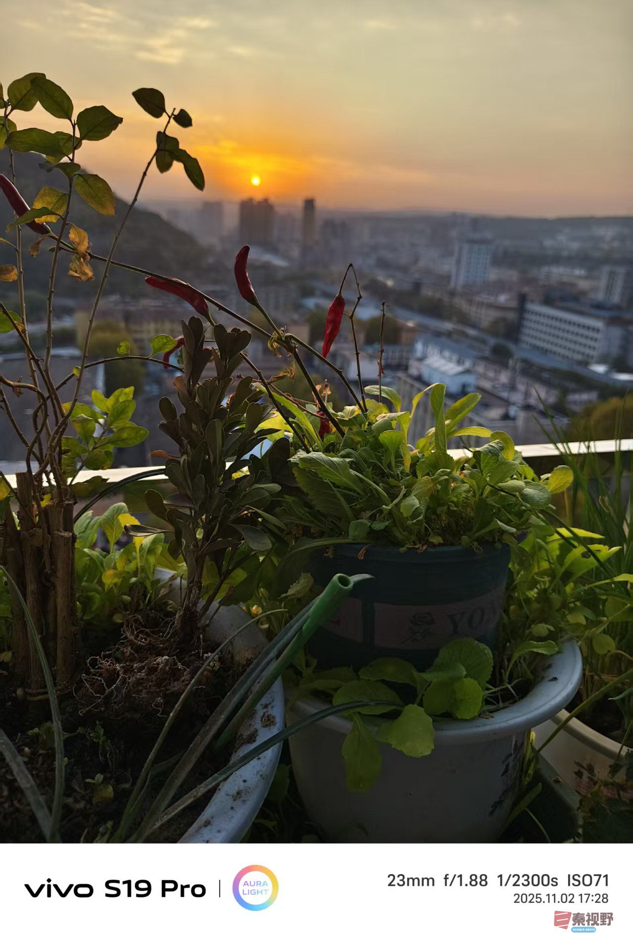 王彦娣_20251103004946_2637_463 (1).jpg