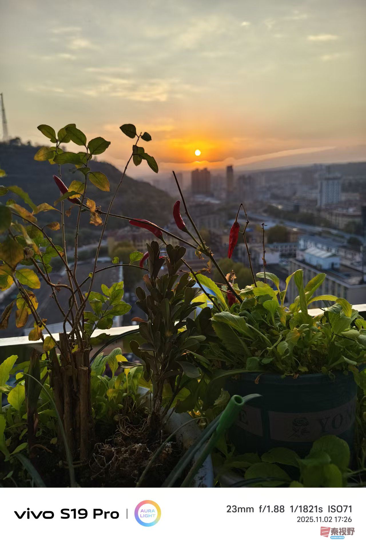 王彦娣_20251103004946_2637_463 (4).jpg