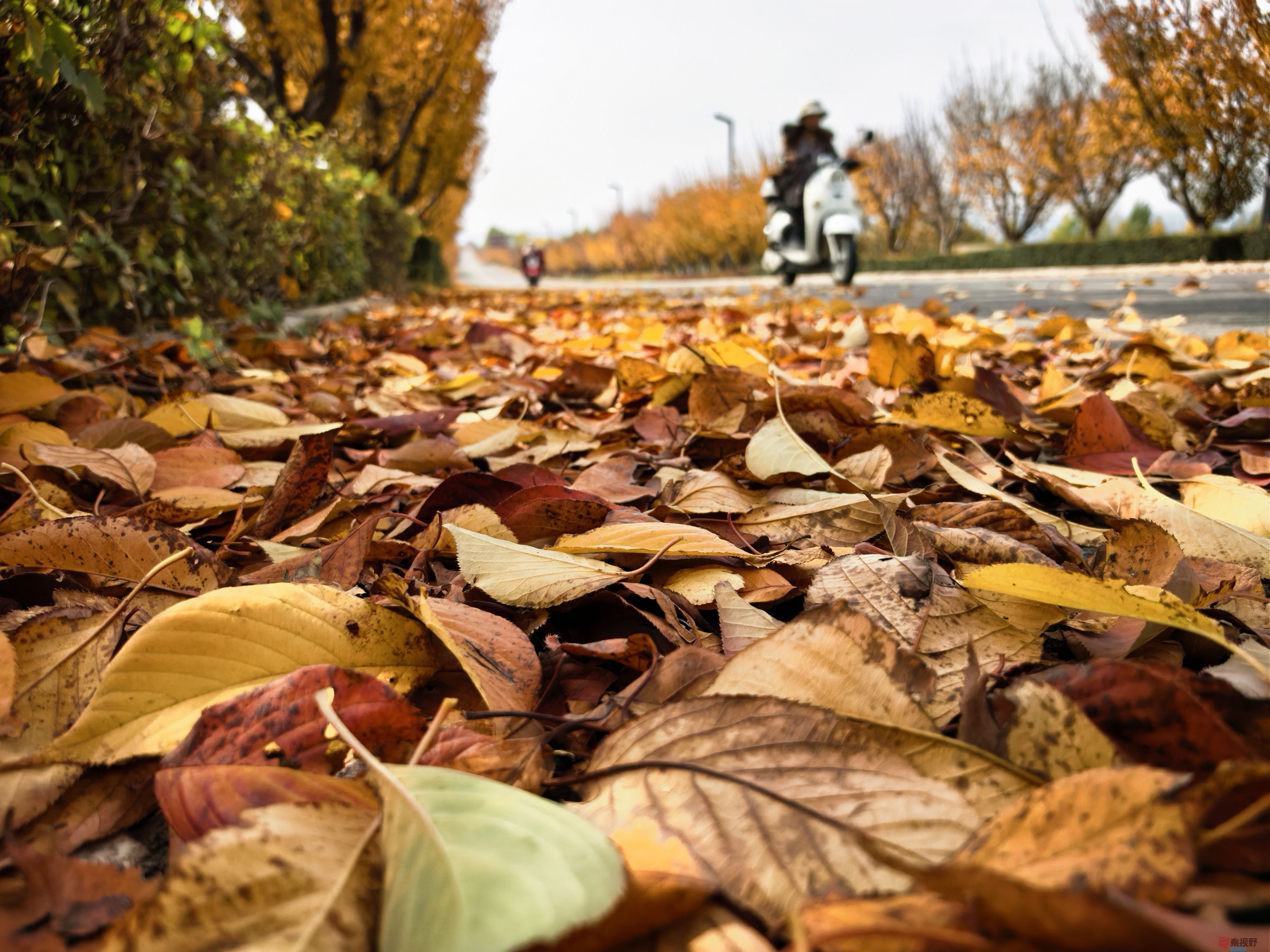 刘孝文_20251103154155_2680_463 (6).jpg