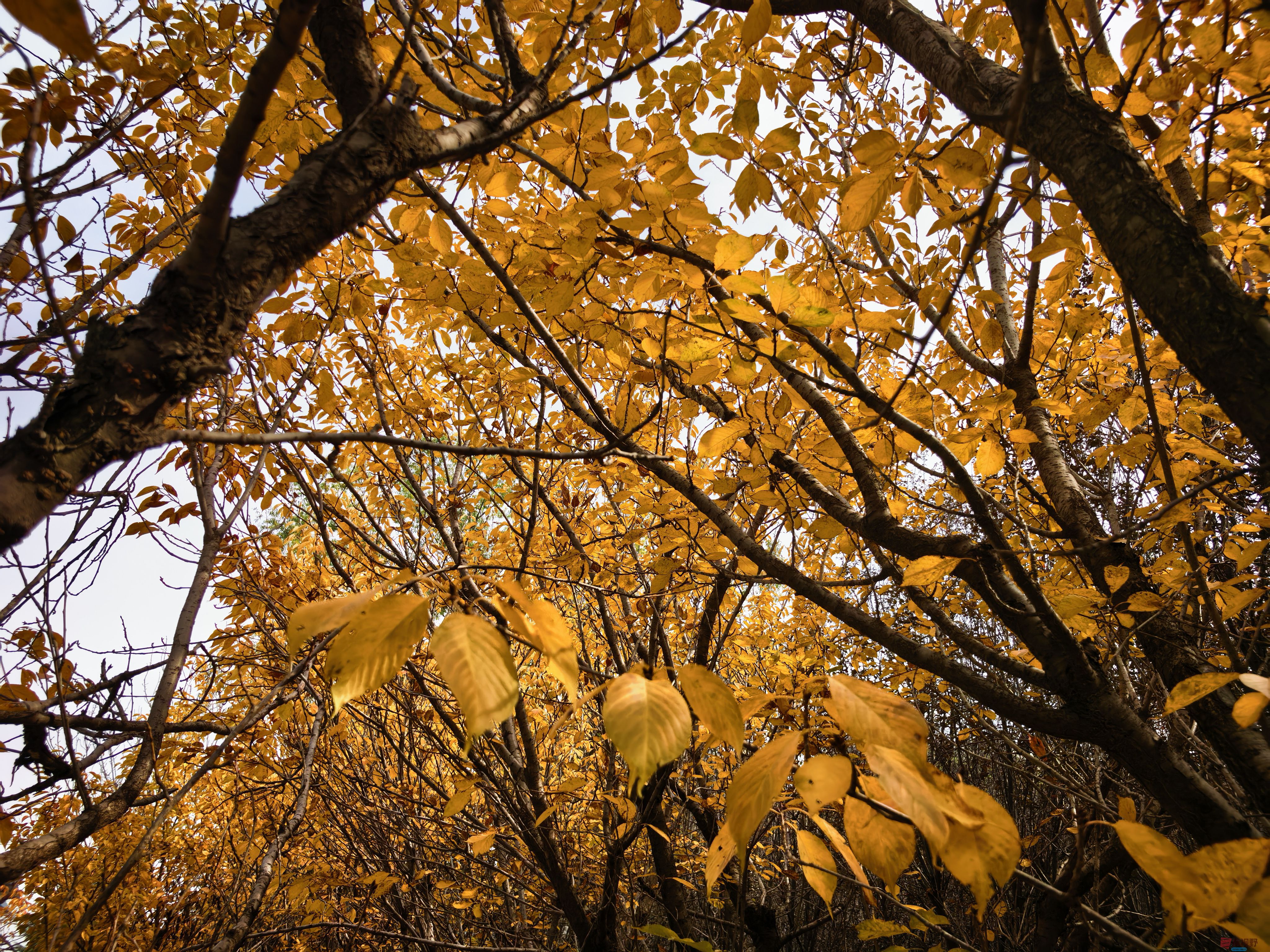 刘孝文_20251103154155_2680_463 (10).jpg