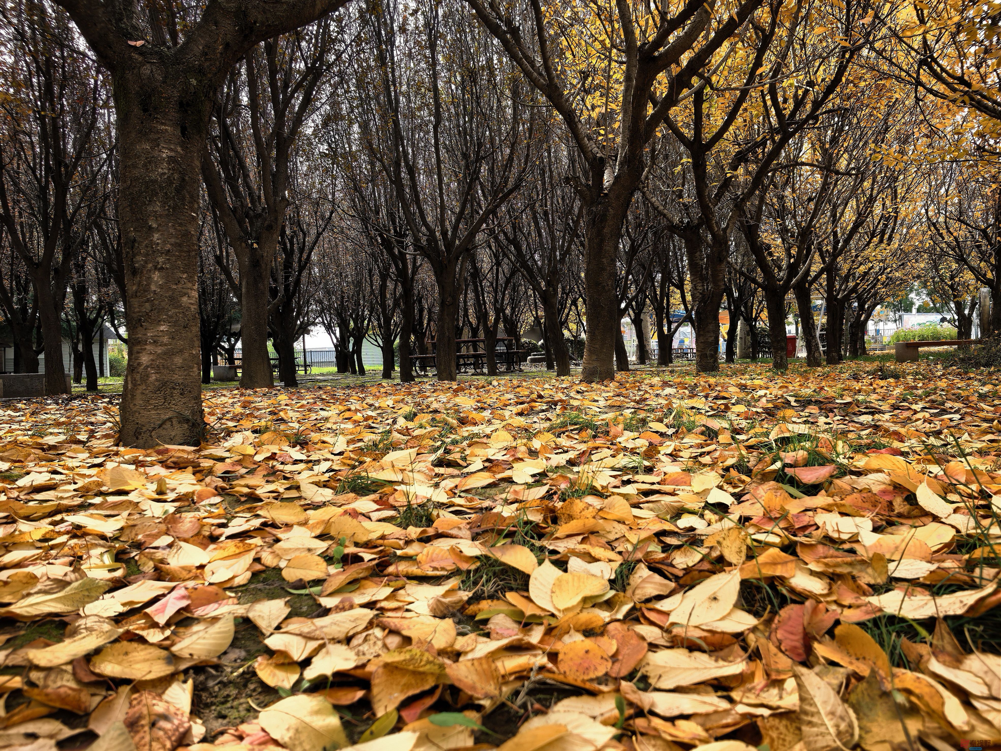 刘孝文_20251103154155_2680_463 (12).jpg