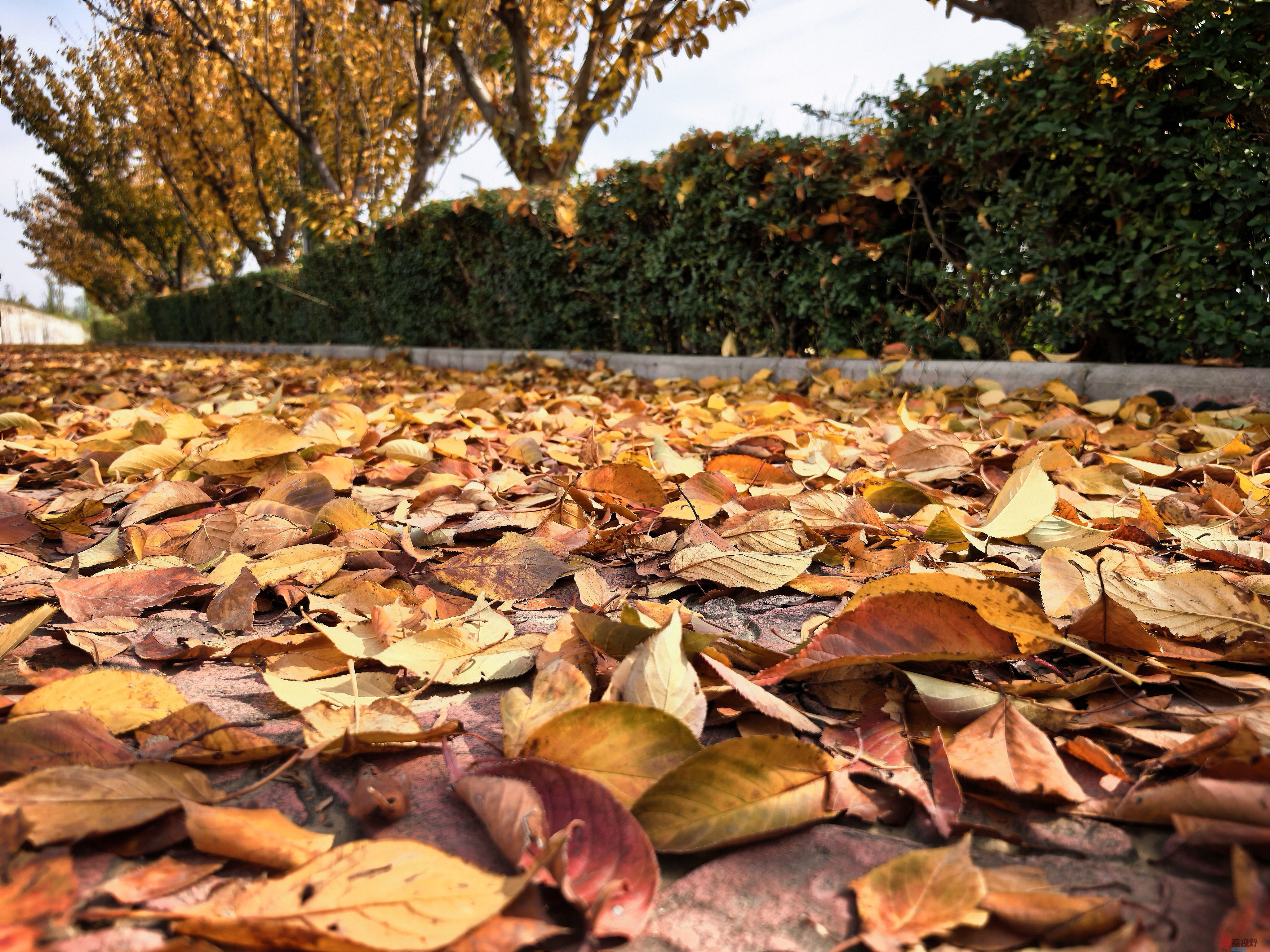 刘孝文_20251103154155_2680_463 (14).jpg