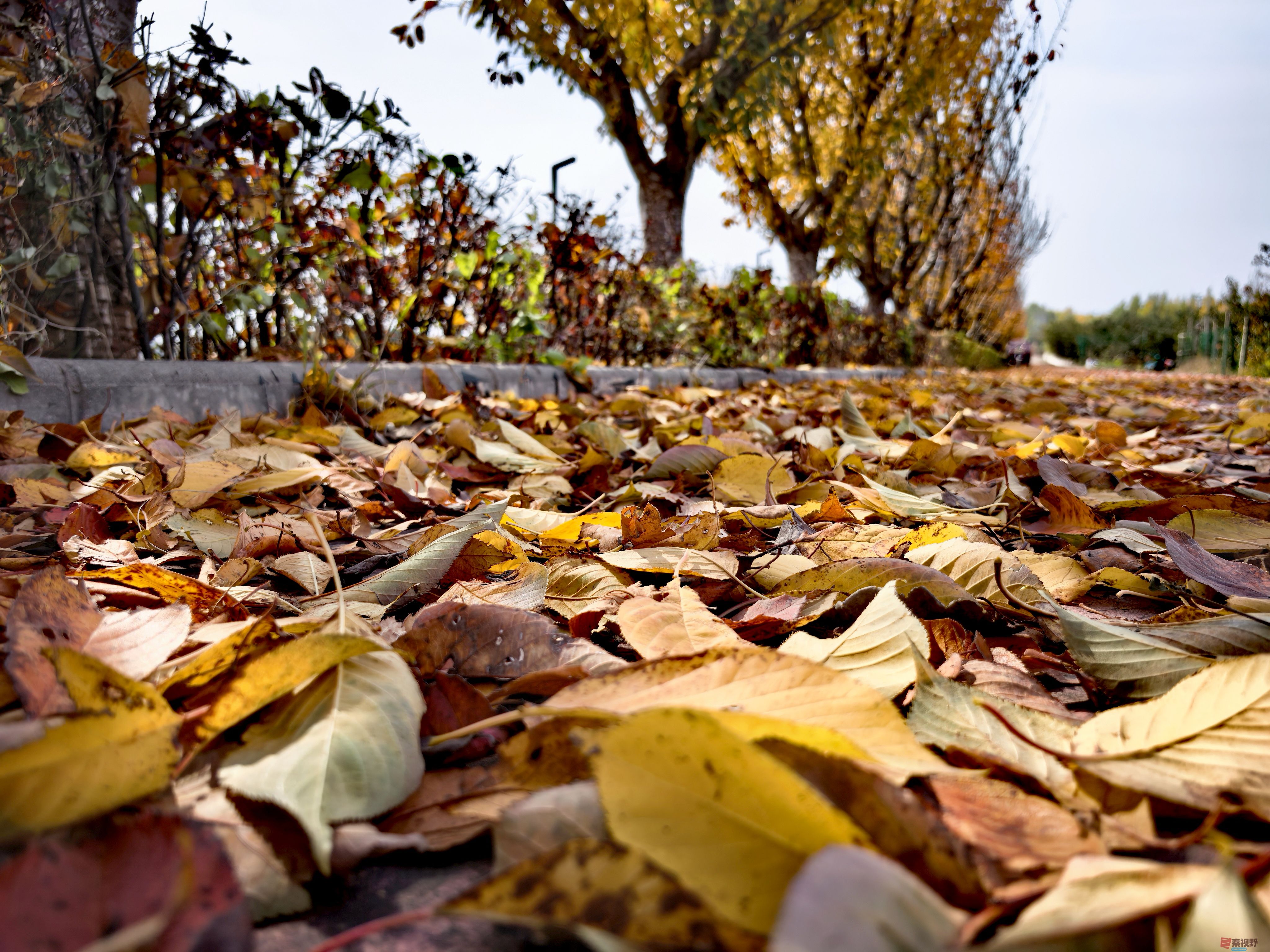 刘孝文_20251103154155_2680_463 (3).jpg