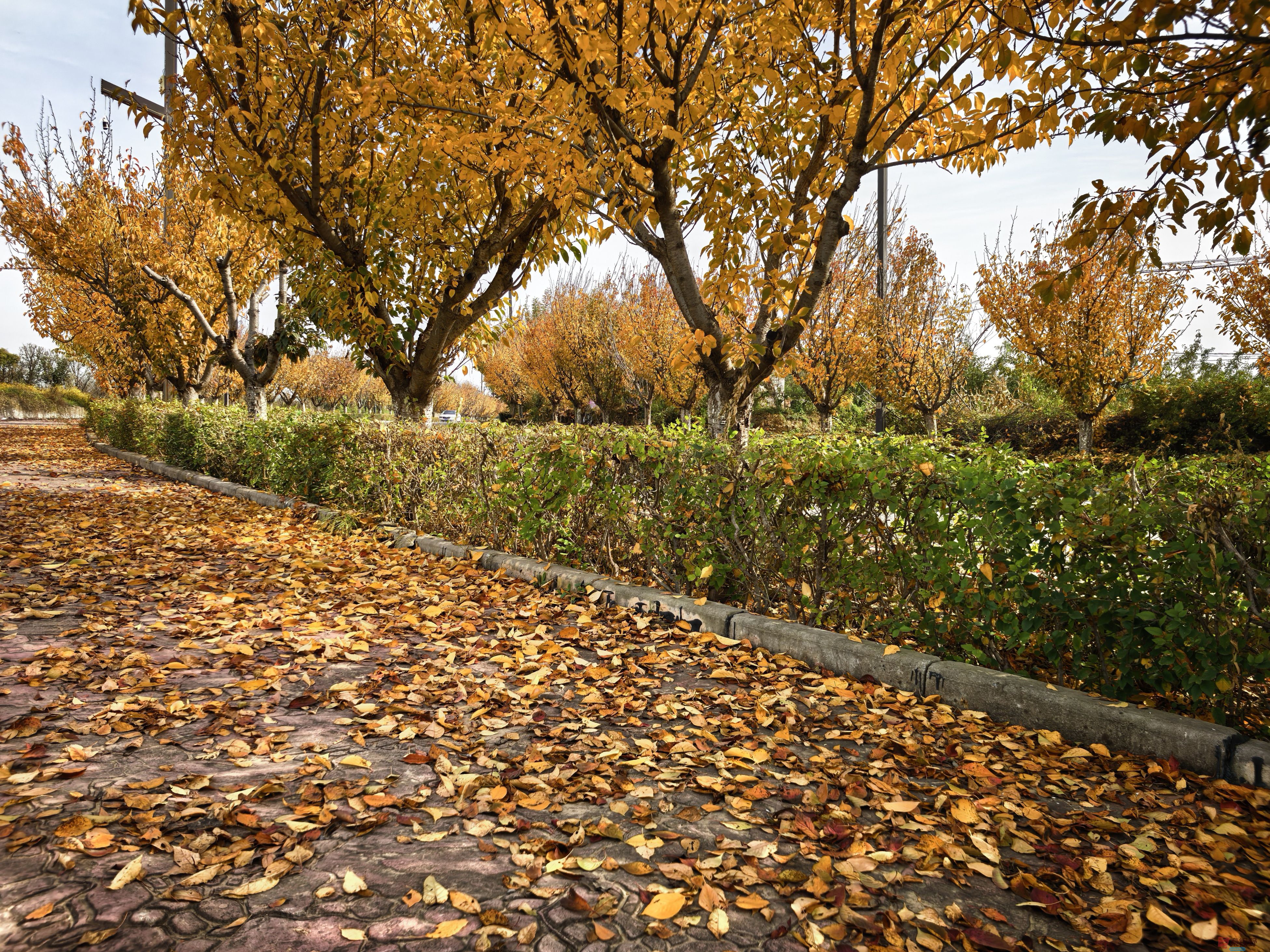 刘孝文_20251103154155_2680_463 (4).jpg