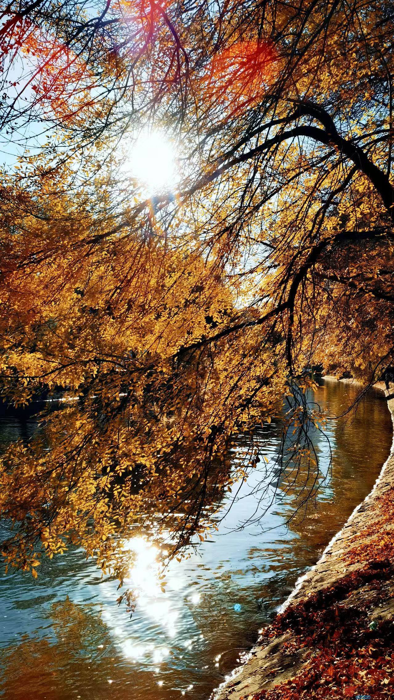 马世国_20251104122912_41_577 (2).jpg